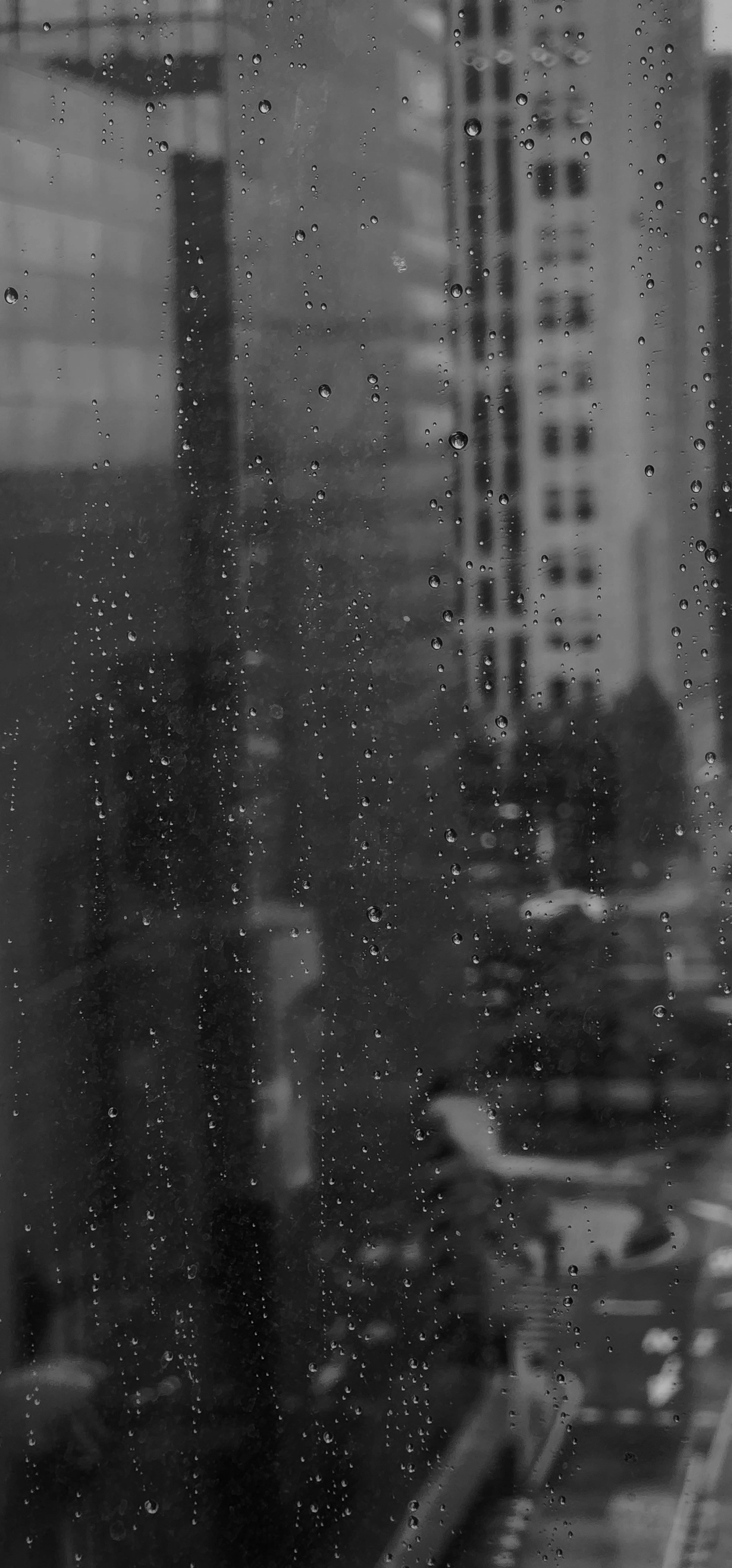 비 오는 창문의 흑백 사진 사진 – Unsplash의 무료 도시 이미지, image size:3000x6424