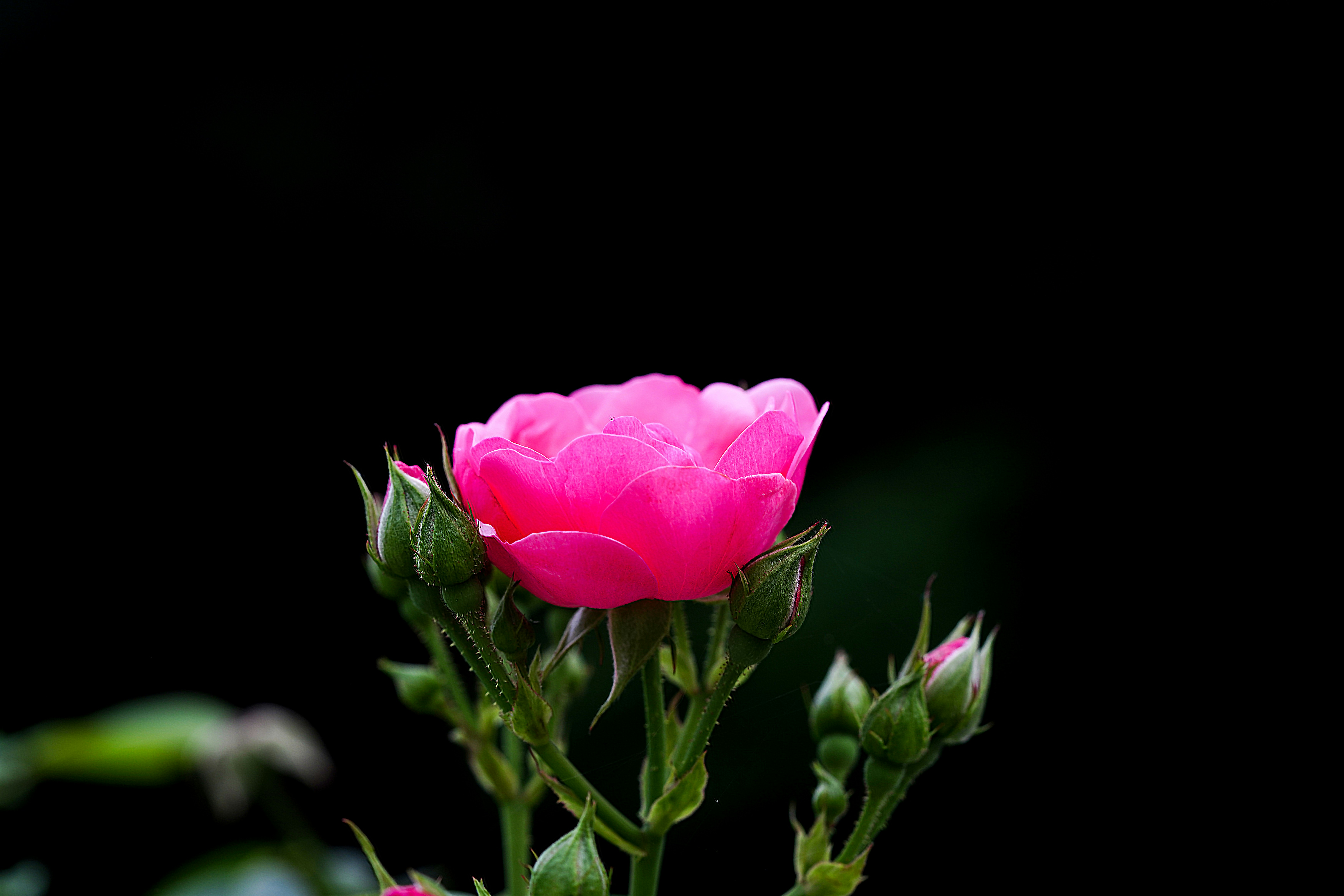 Photo by kim_dae_jeung