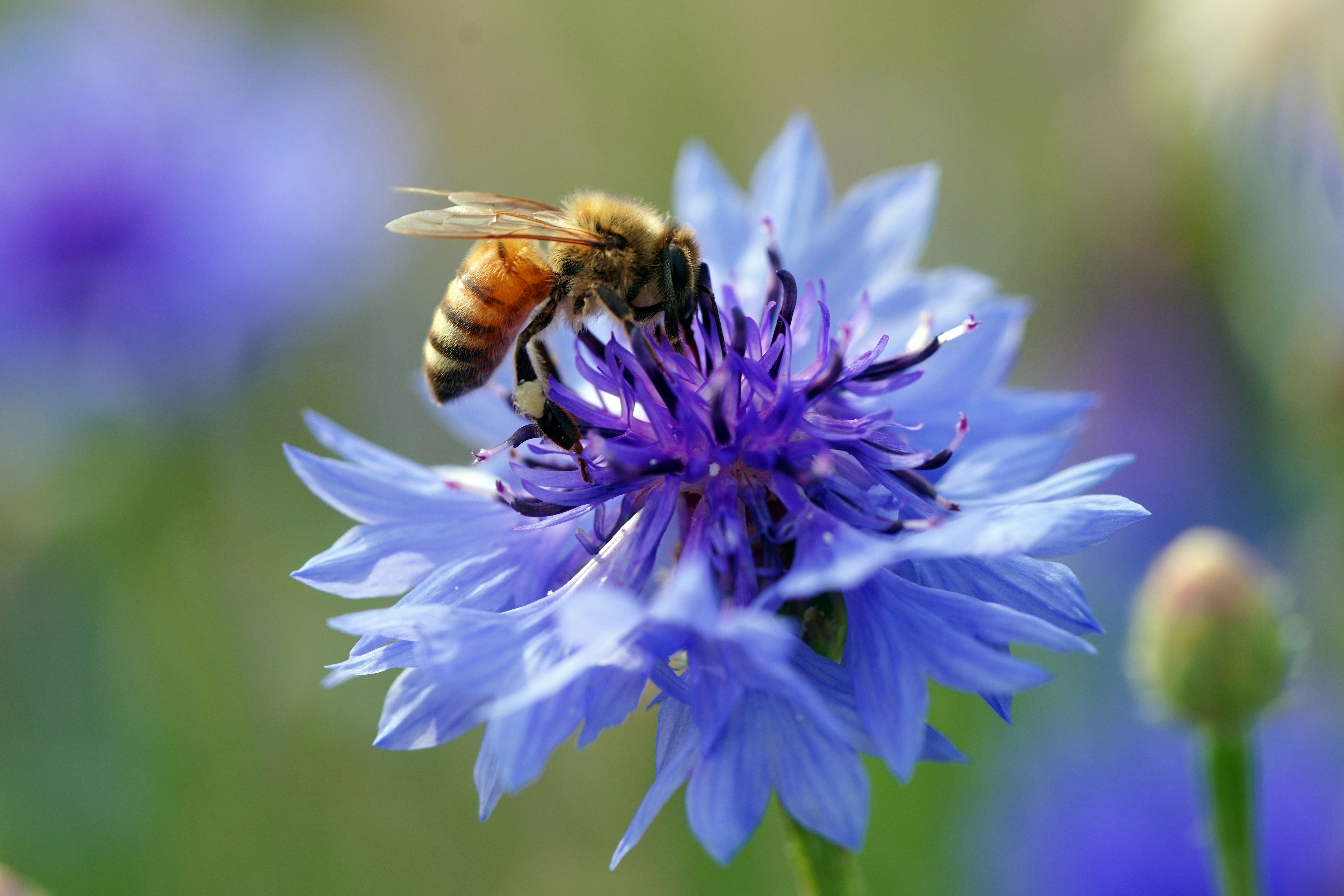 Photo by kim_dae_jeung