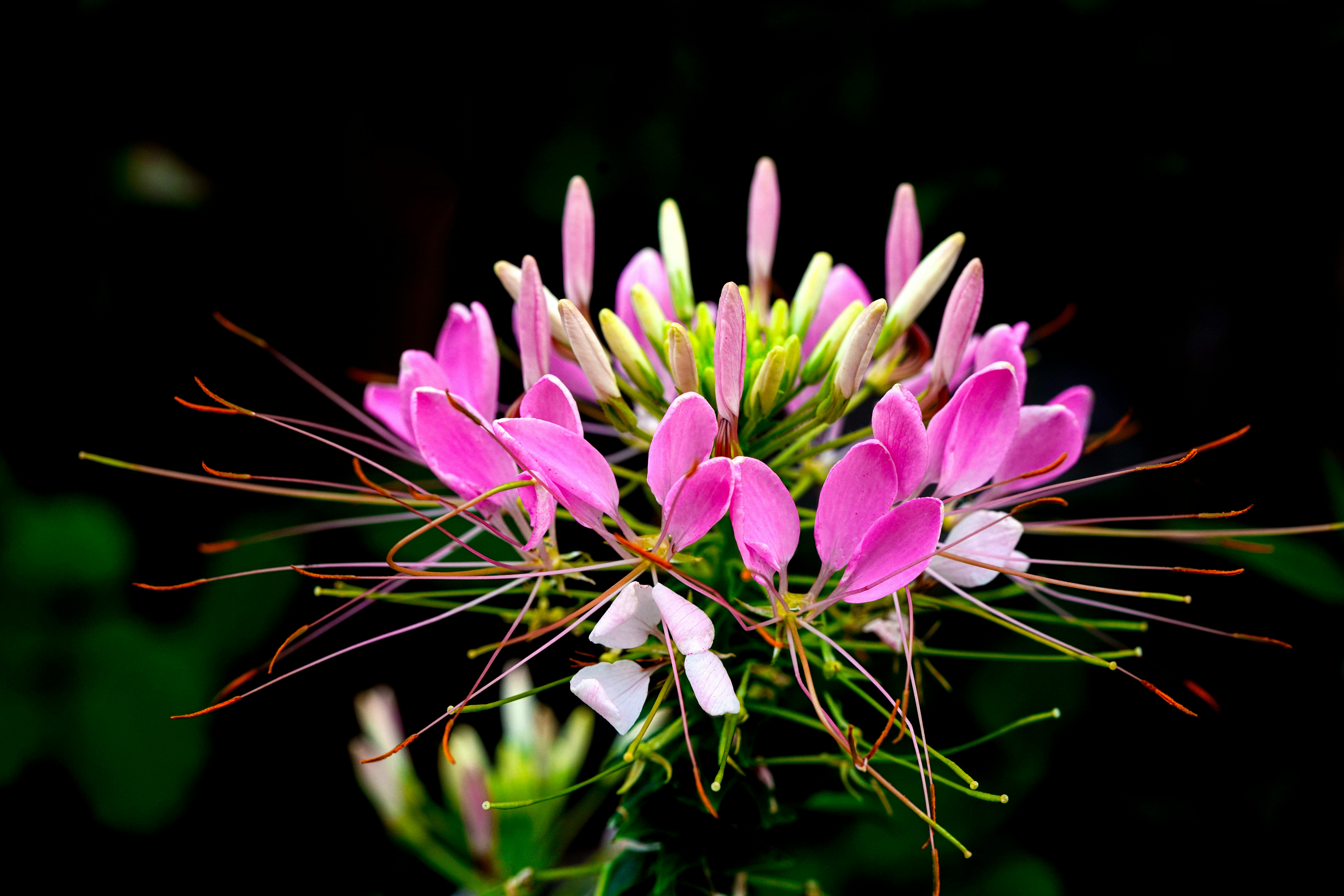 Photo by kim_dae_jeung