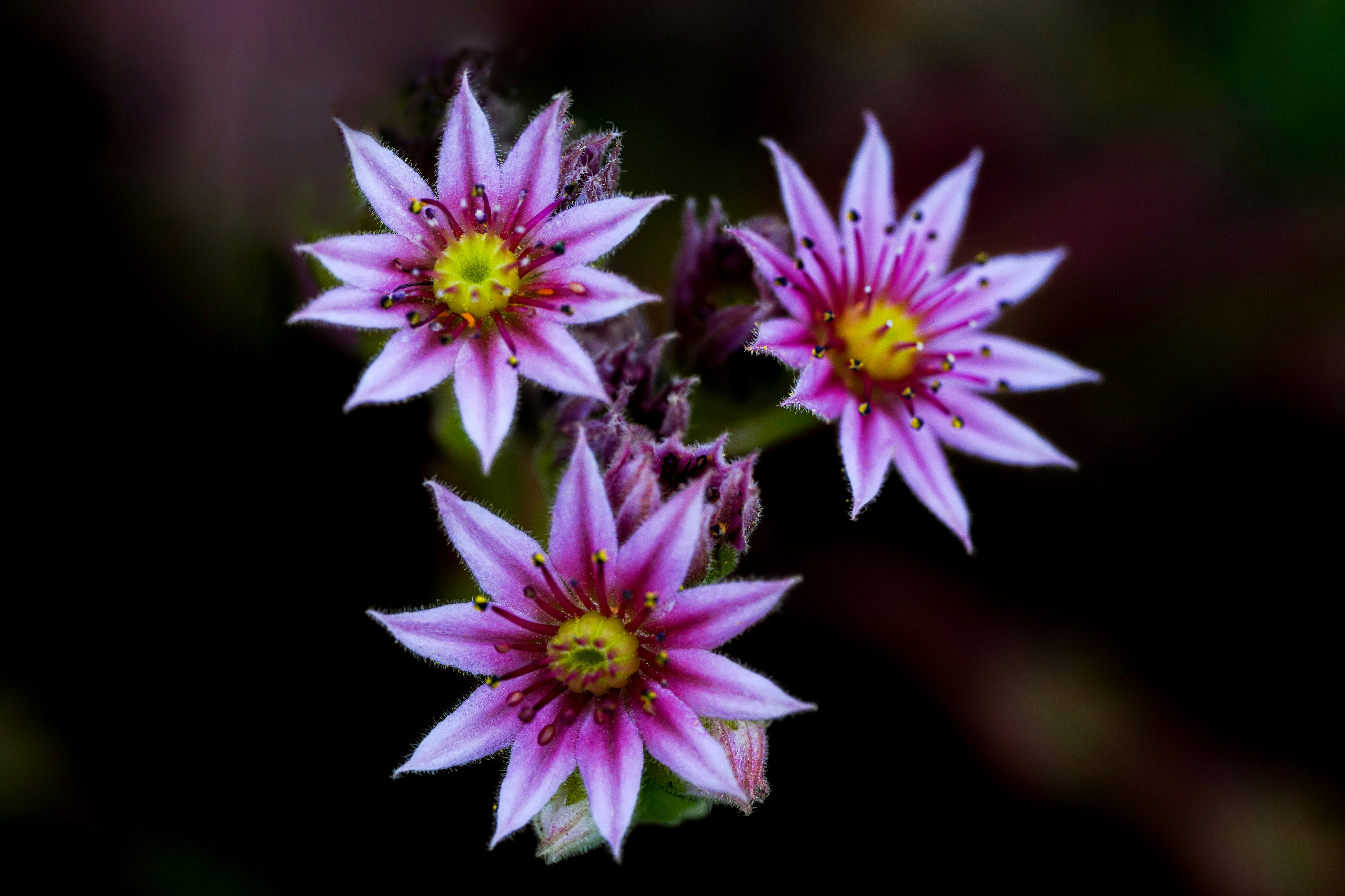 Photo by kim_dae_jeung