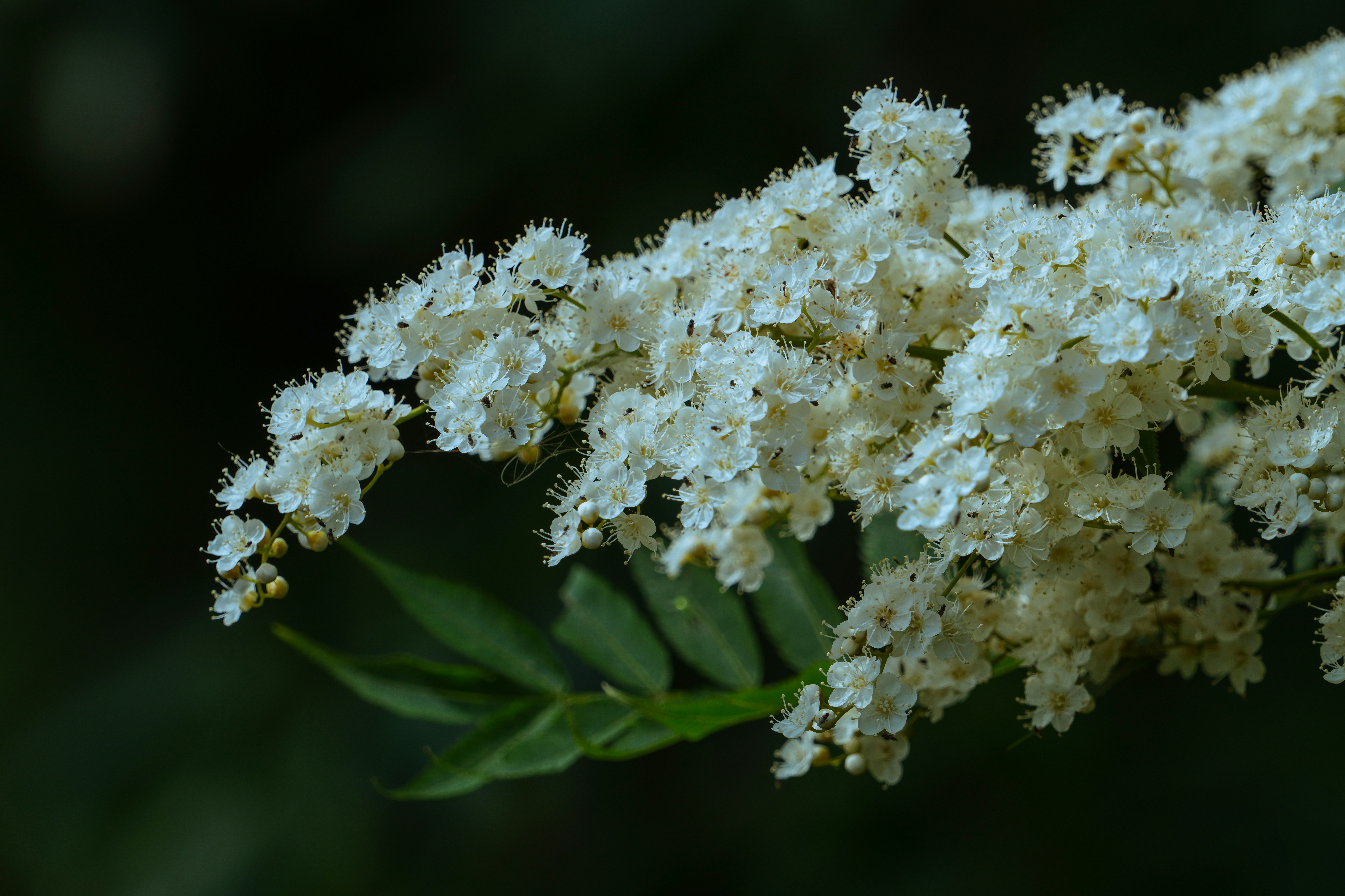 Photo by kim_dae_jeung