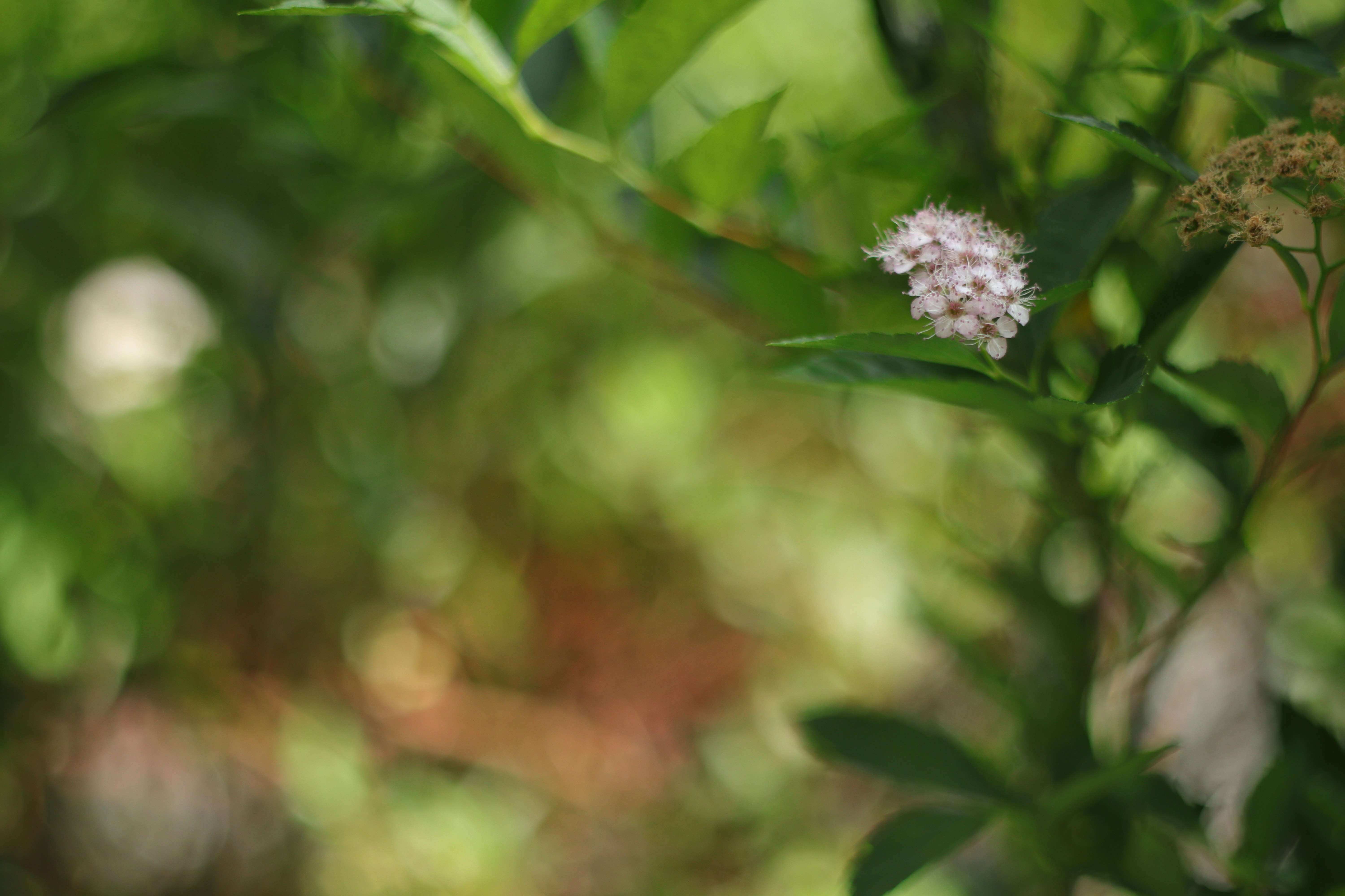 Photo by takatsuchida