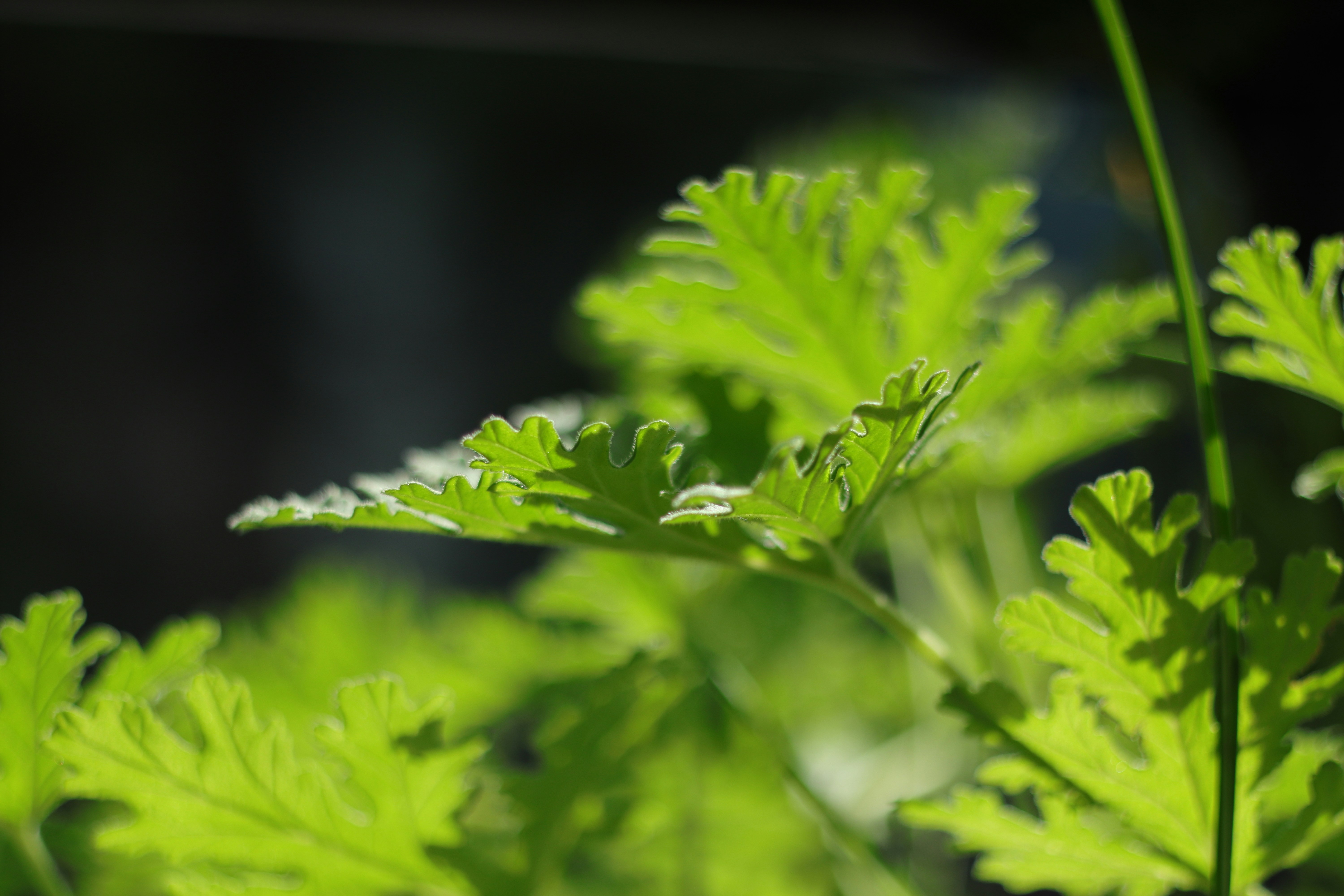 Photo by takatsuchida