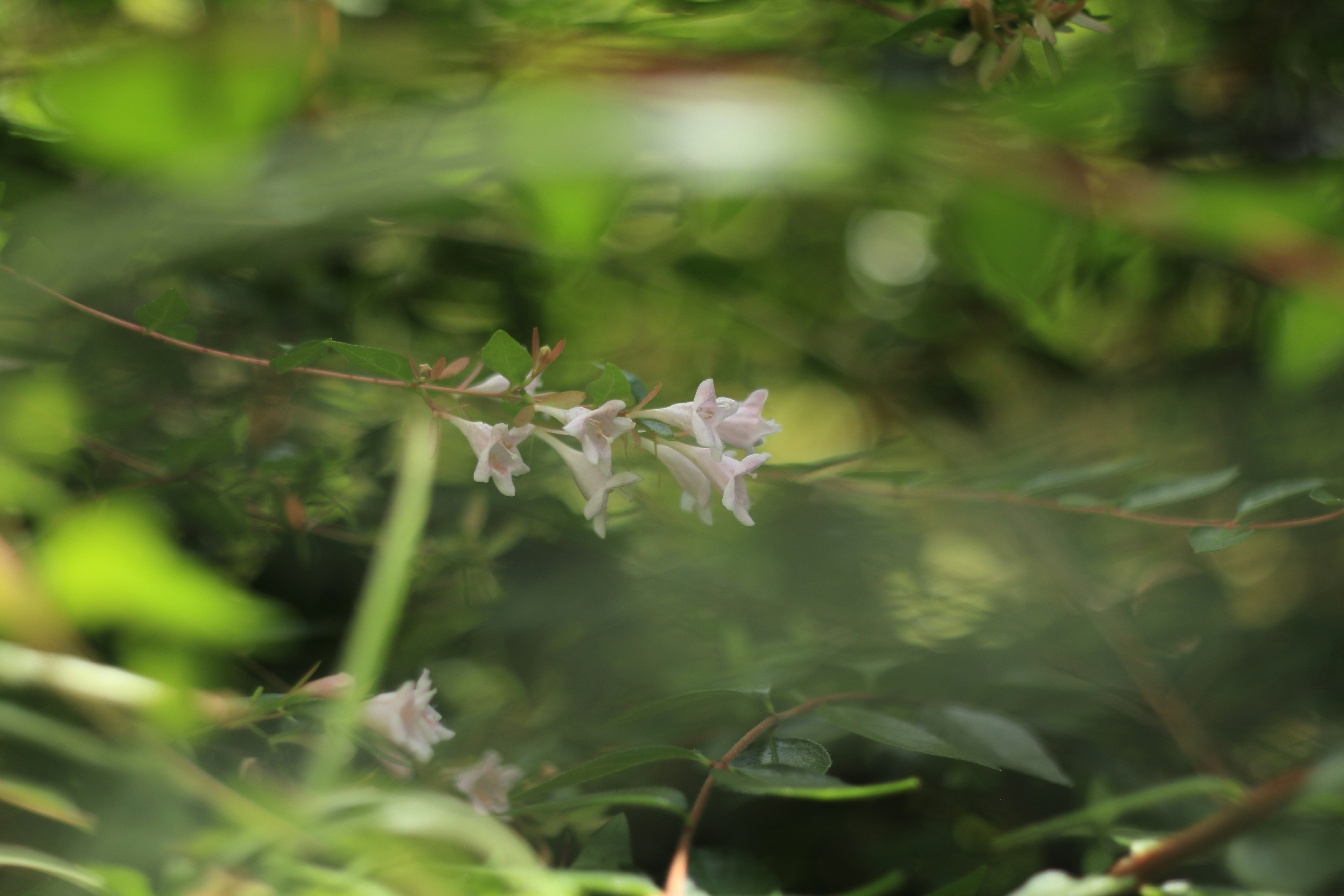 Photo by takatsuchida