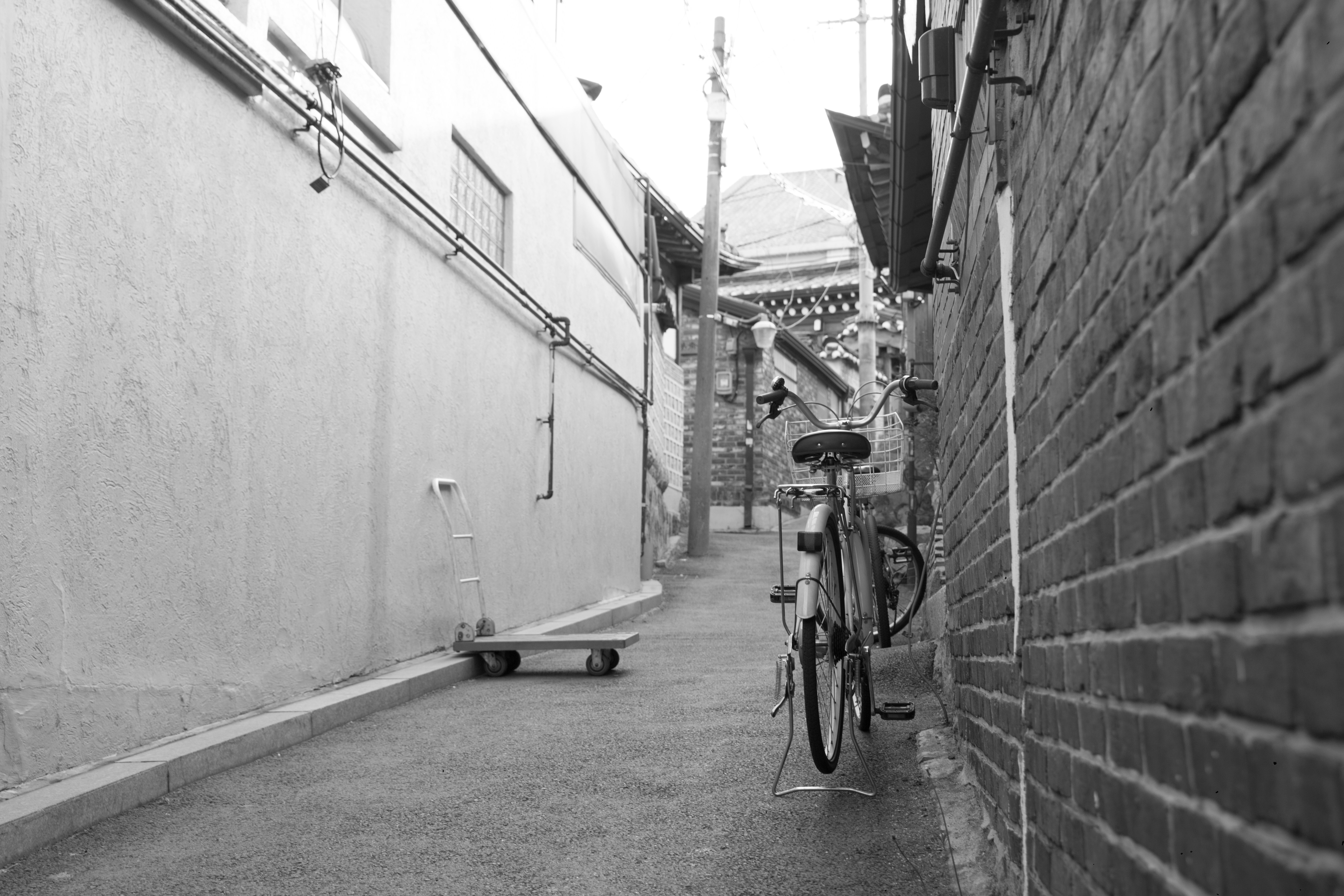 Photo by modernshoot