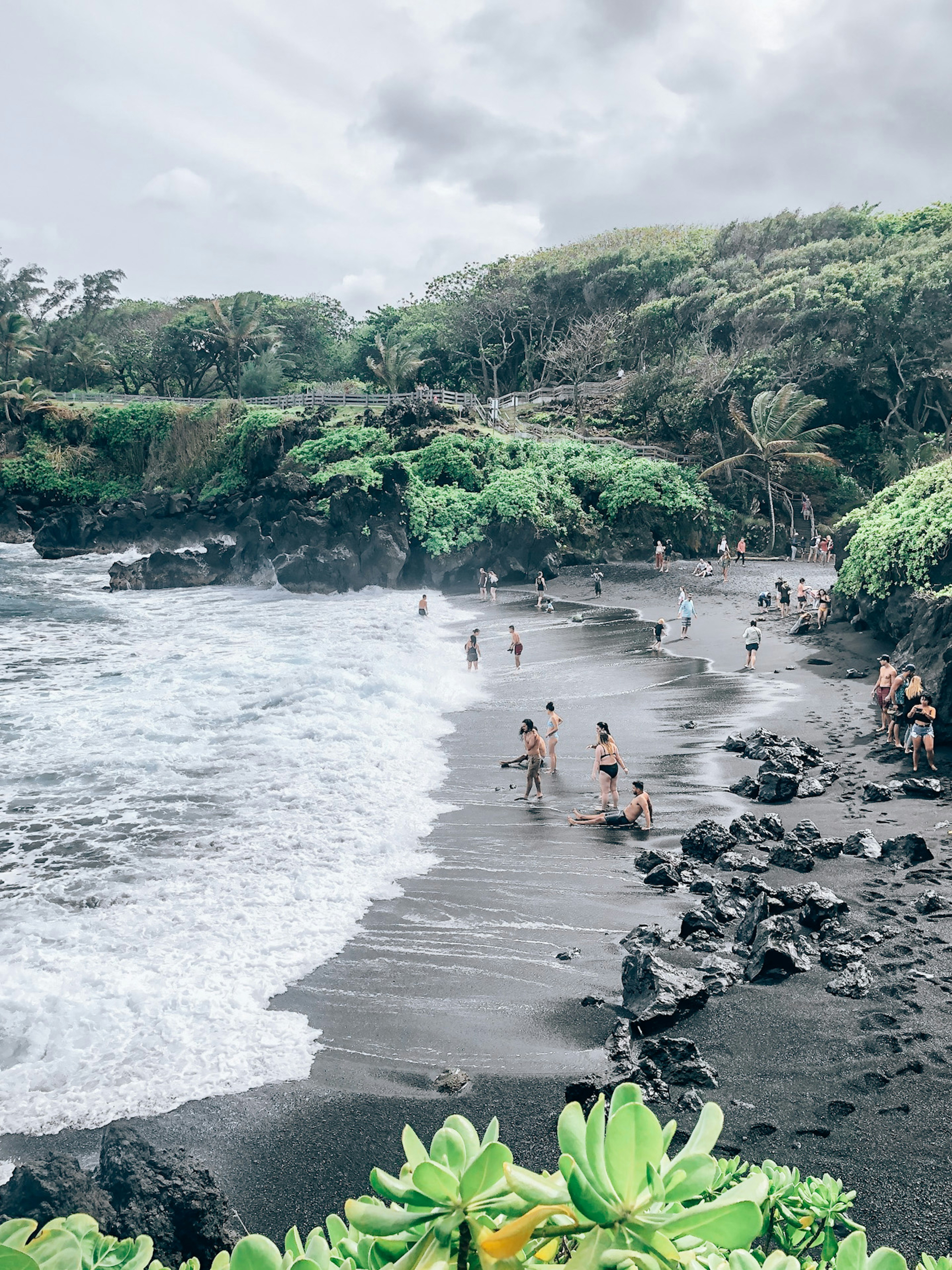a group of people standing on top of a beach next to the ocean
