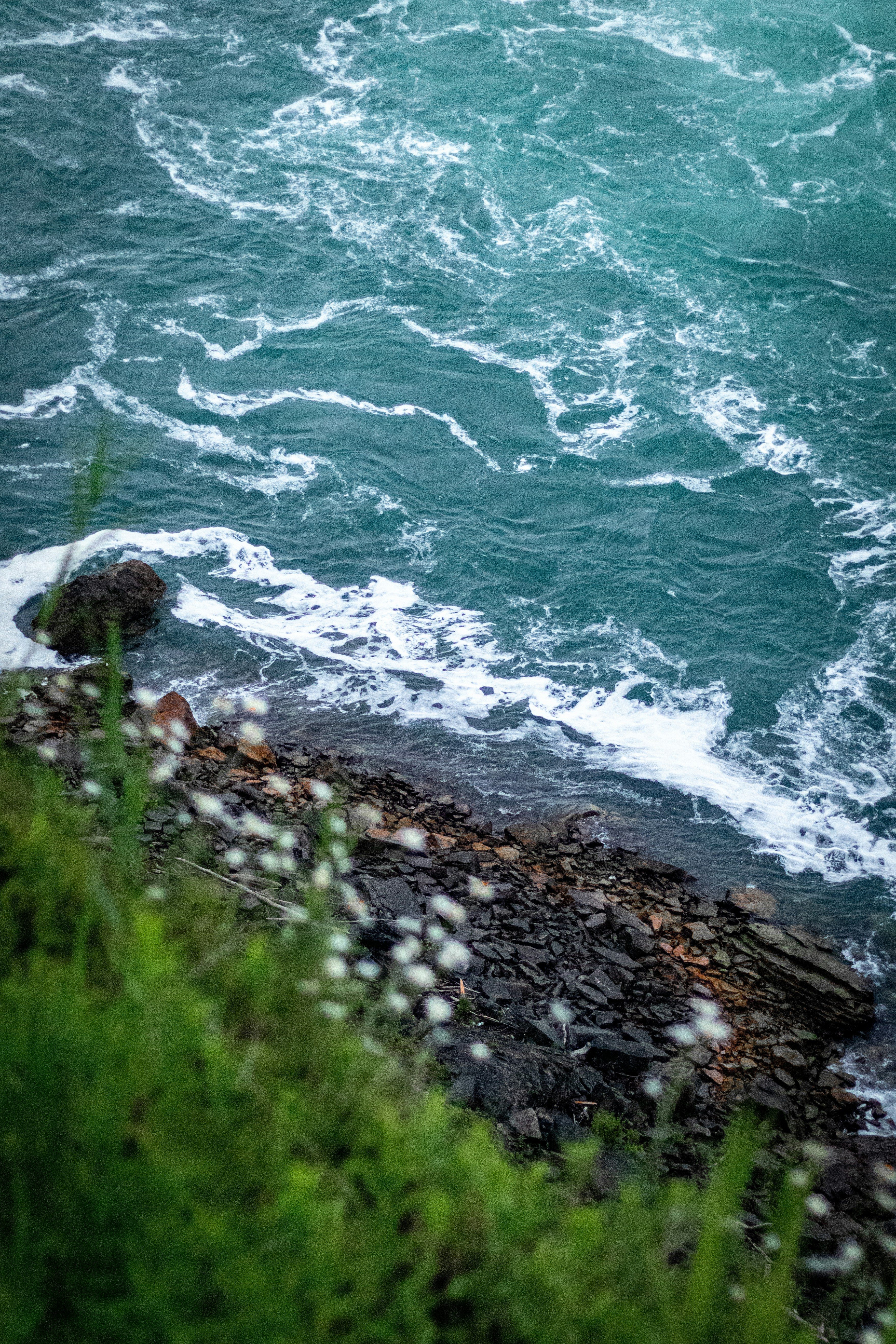 Photo by something_else