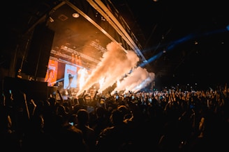 A vibrant concert scene with a large crowd of people raising their hands and holding up phones. Intense lighting effects highlight the stage, where smoke machines create dramatic plumes. The setting is a large indoor arena with visible stage lights and equipment.