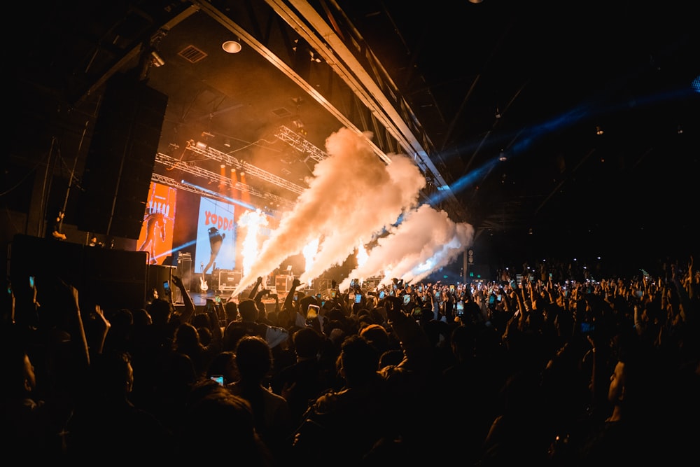 a large group of people at a concert