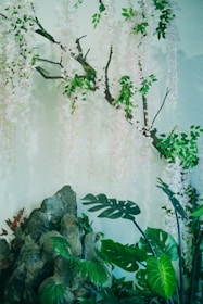 A serene setting with falling petals and botanical textures.