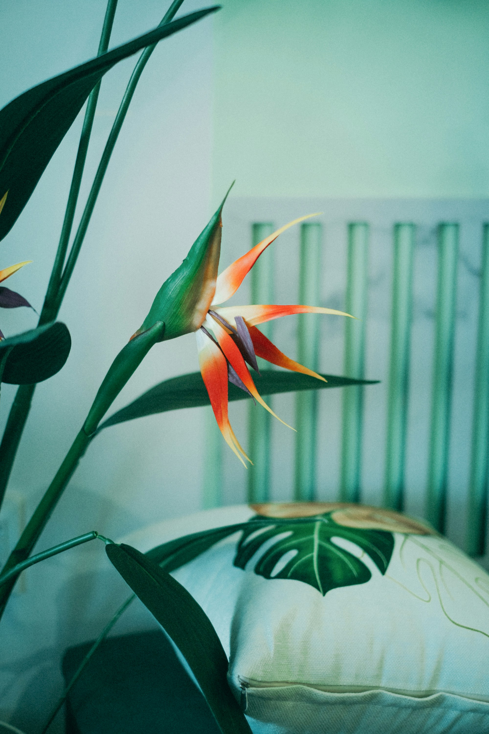 Photo by nguyentrungnguyen