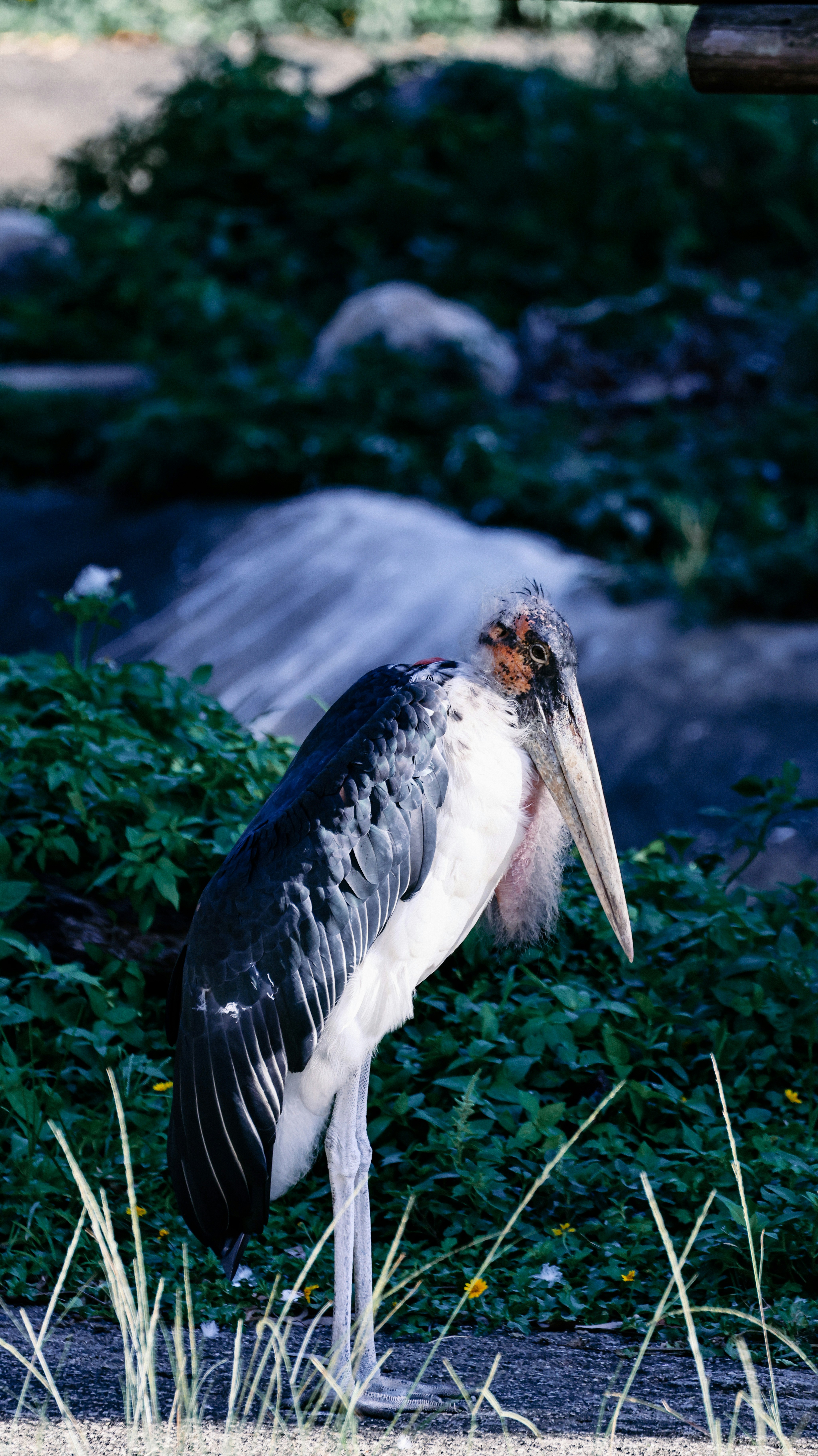 Photo by dickenslin76