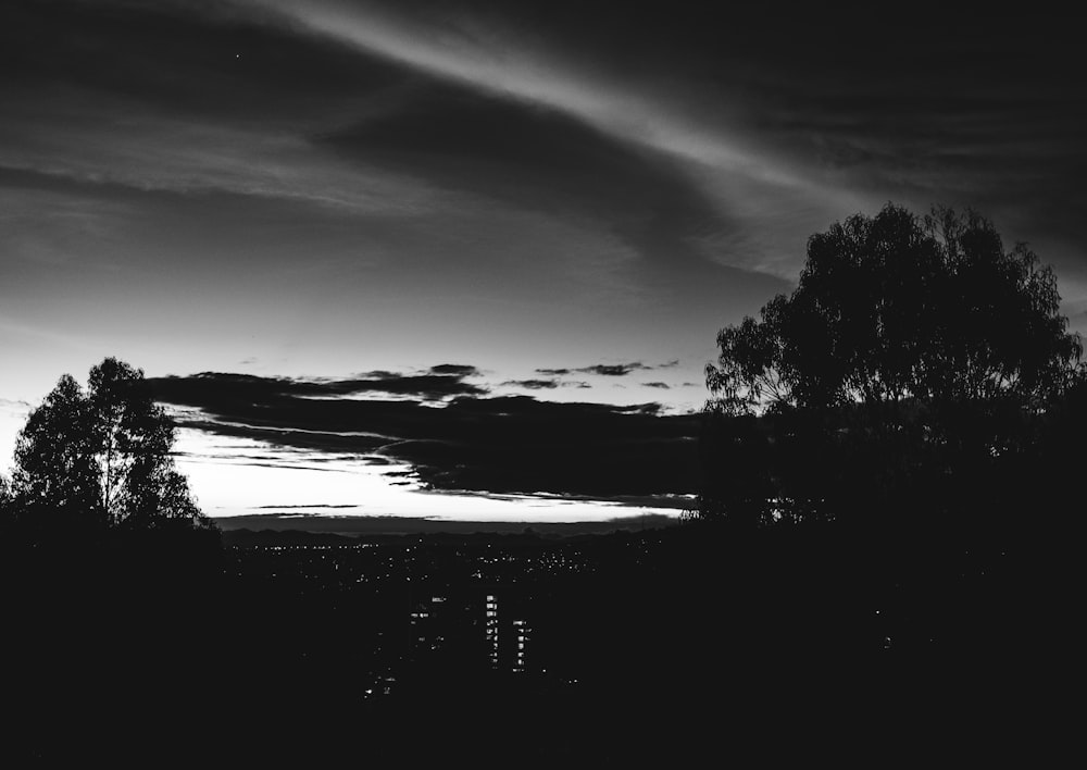 a black and white photo of the sky and trees