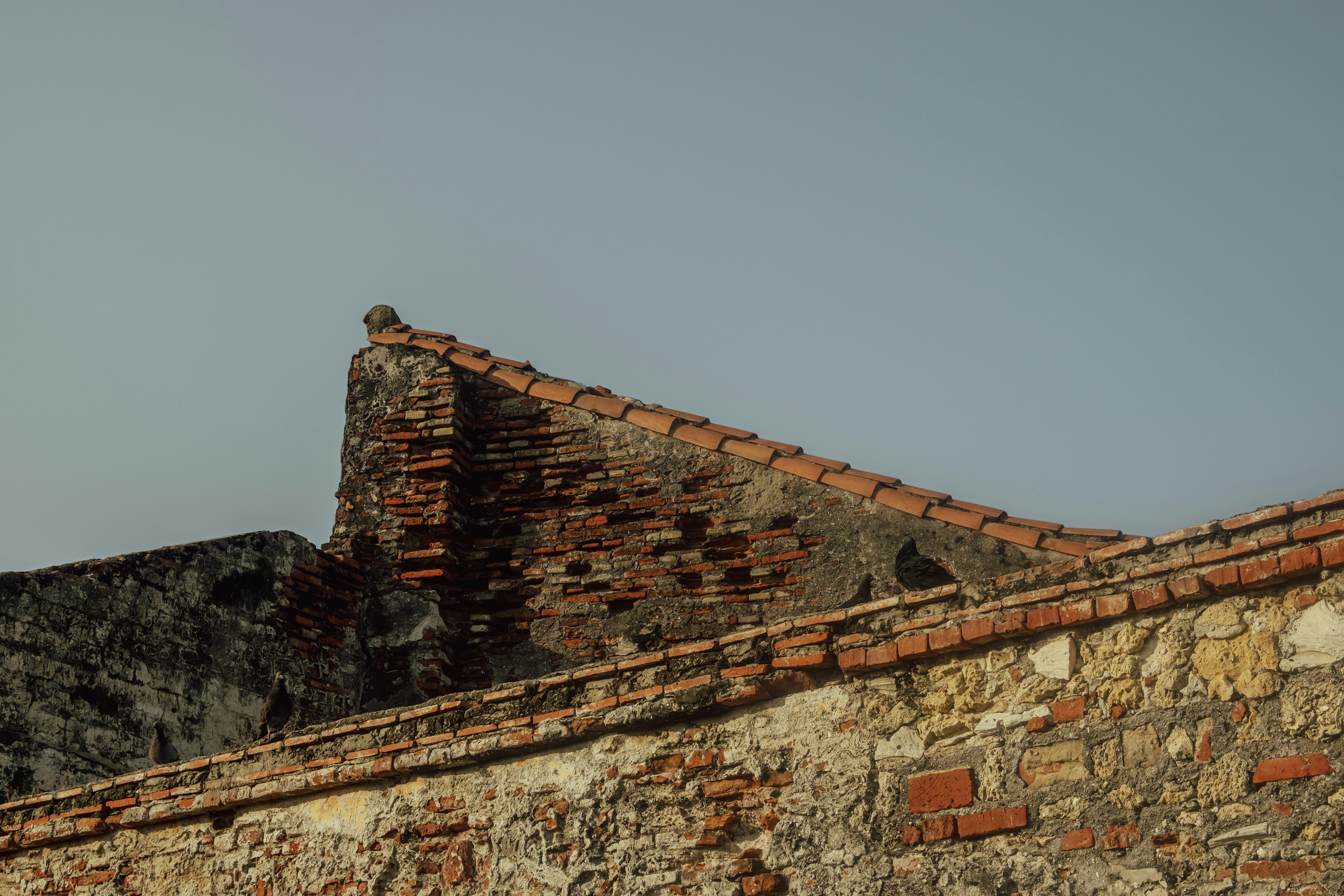 Photo by jamoandres2021