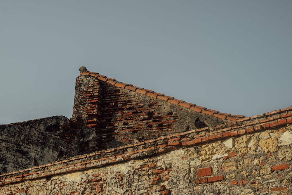 a bird is perched on top of a brick building