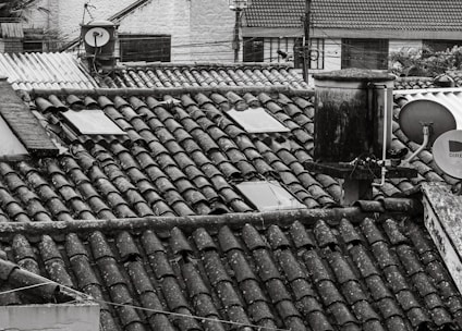 a black and white photo of rooftops and roofs