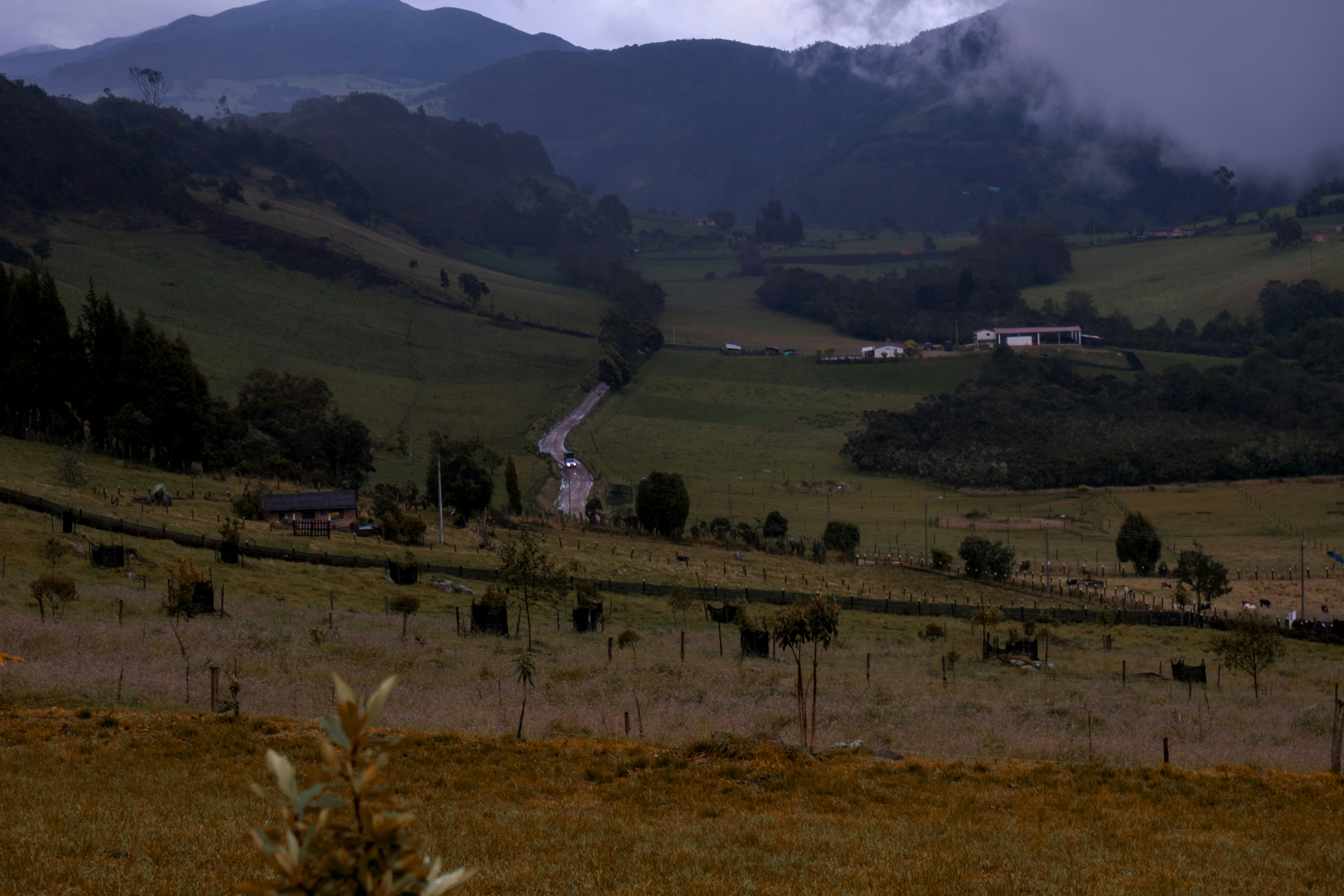 Photo by jamoandres2021