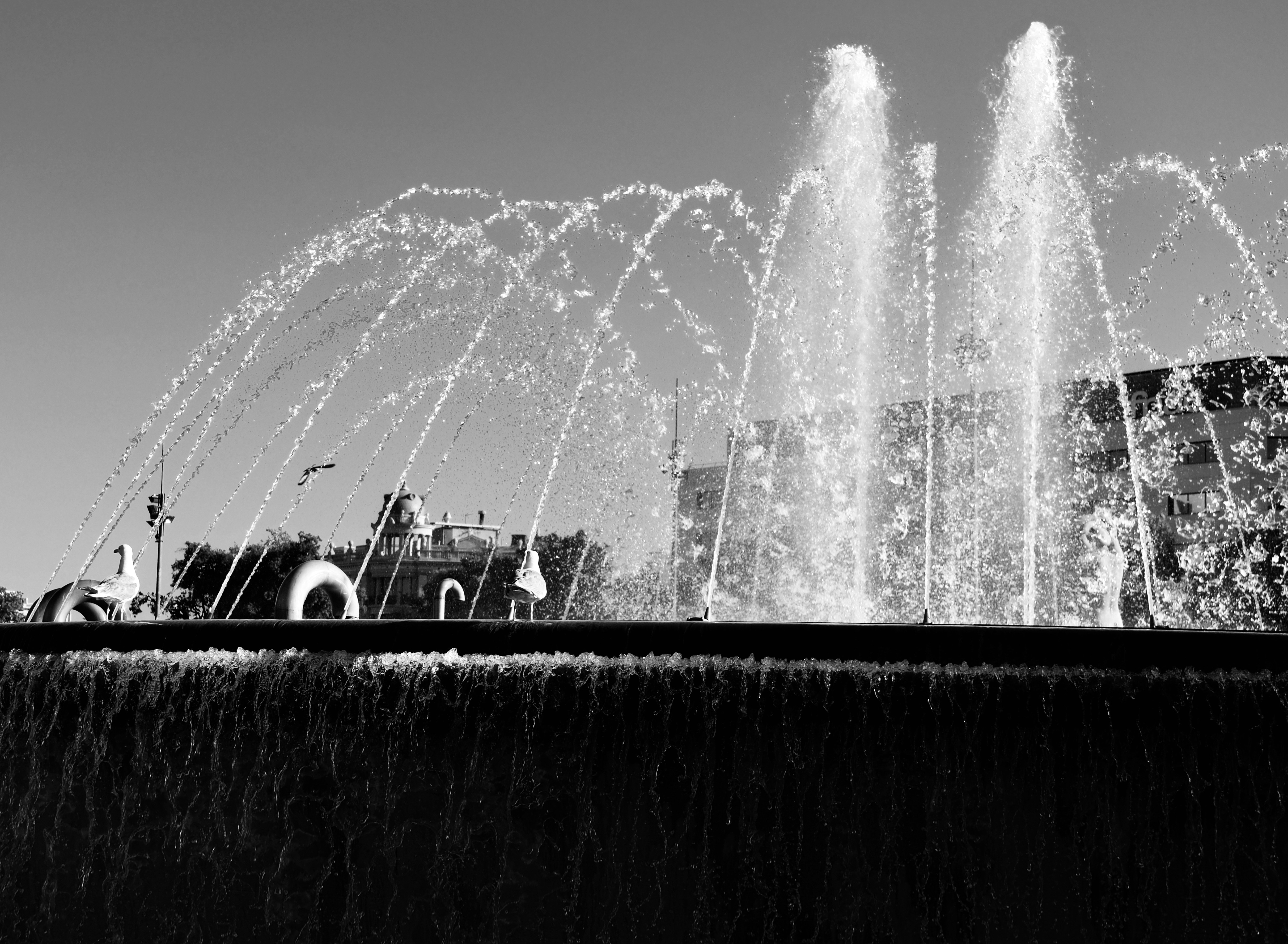 Photo by jamoandres2021