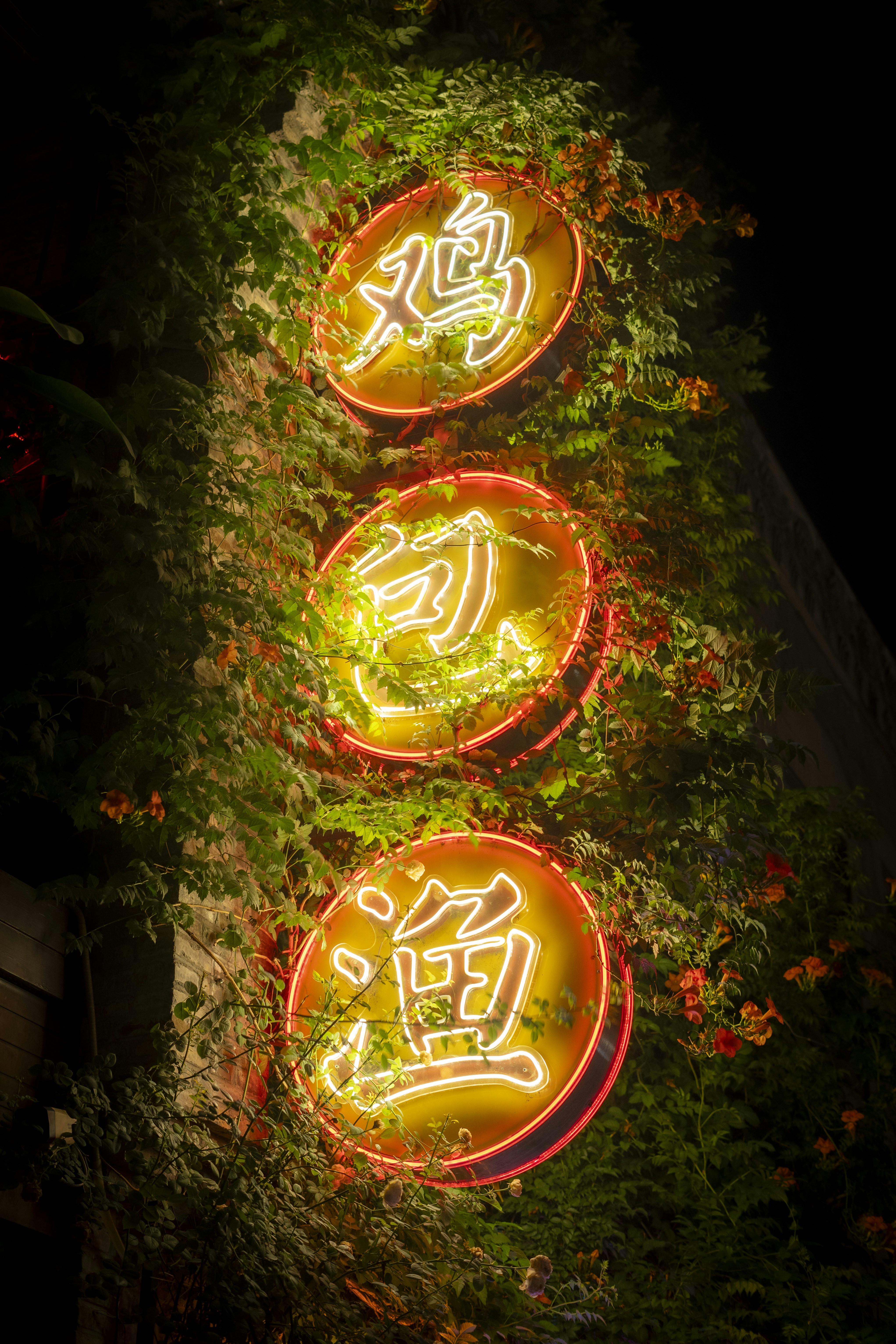 Photo by limichange