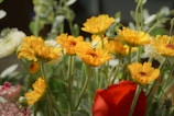 A vibrant floral arrangement featuring yellow daisies with delicate petals and green stems. The bouquet includes a striking red rose amidst the daisies, along with hints of white and pink flowers in the background. The lush greenery complements the bright colors, creating a fresh and lively composition.
