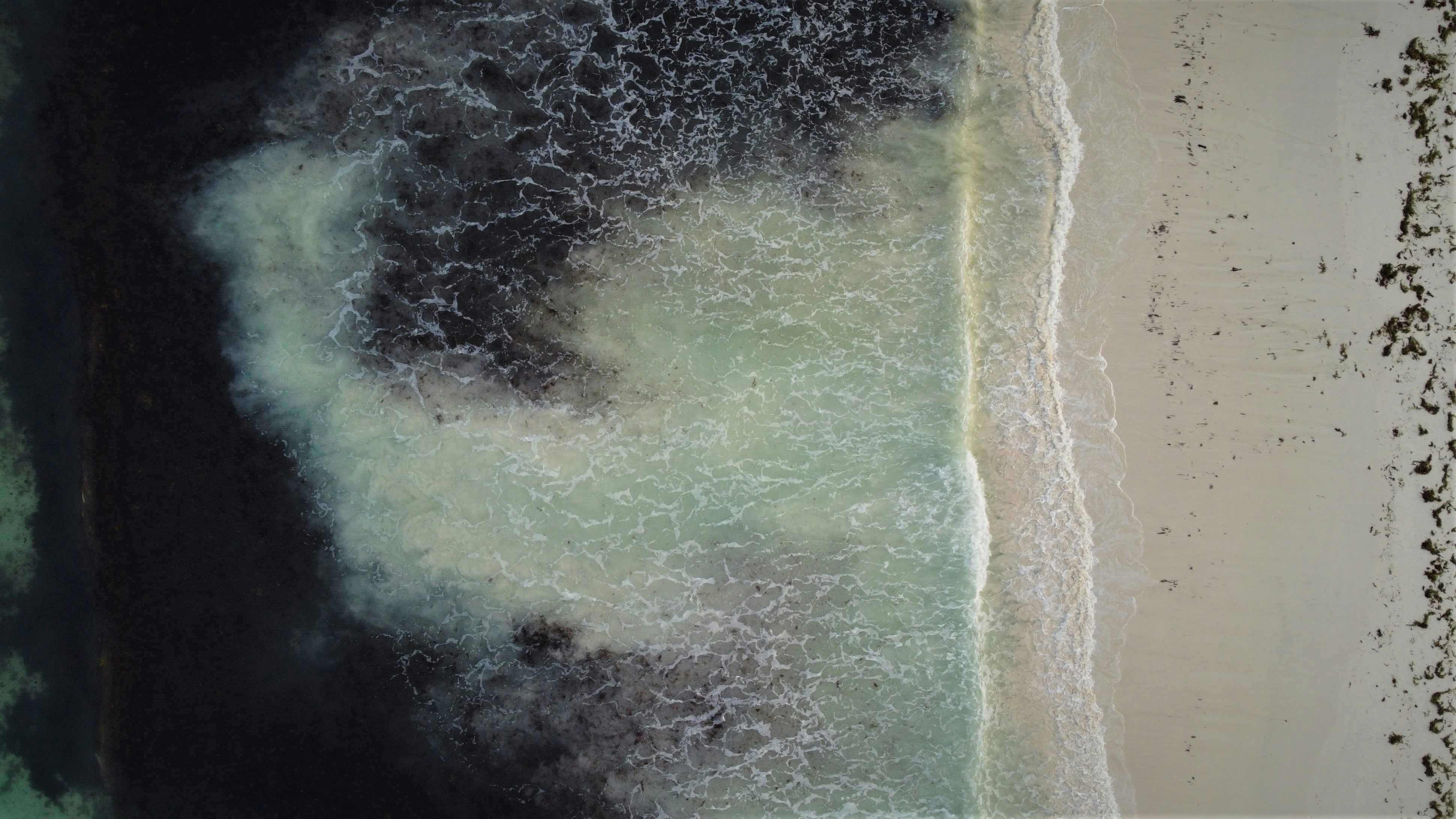 an aerial view of a beach and the ocean