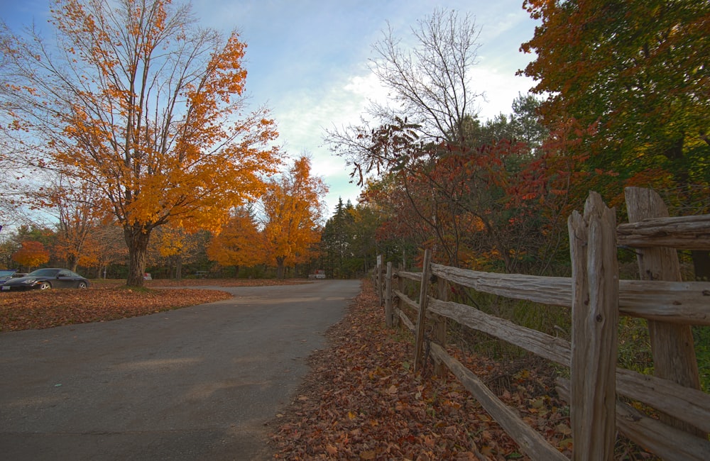 uma estrada com uma cerca de madeira no outono