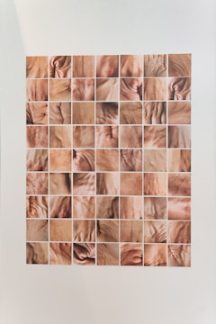 Examples of crisp, clear passport photos displayed in a grid