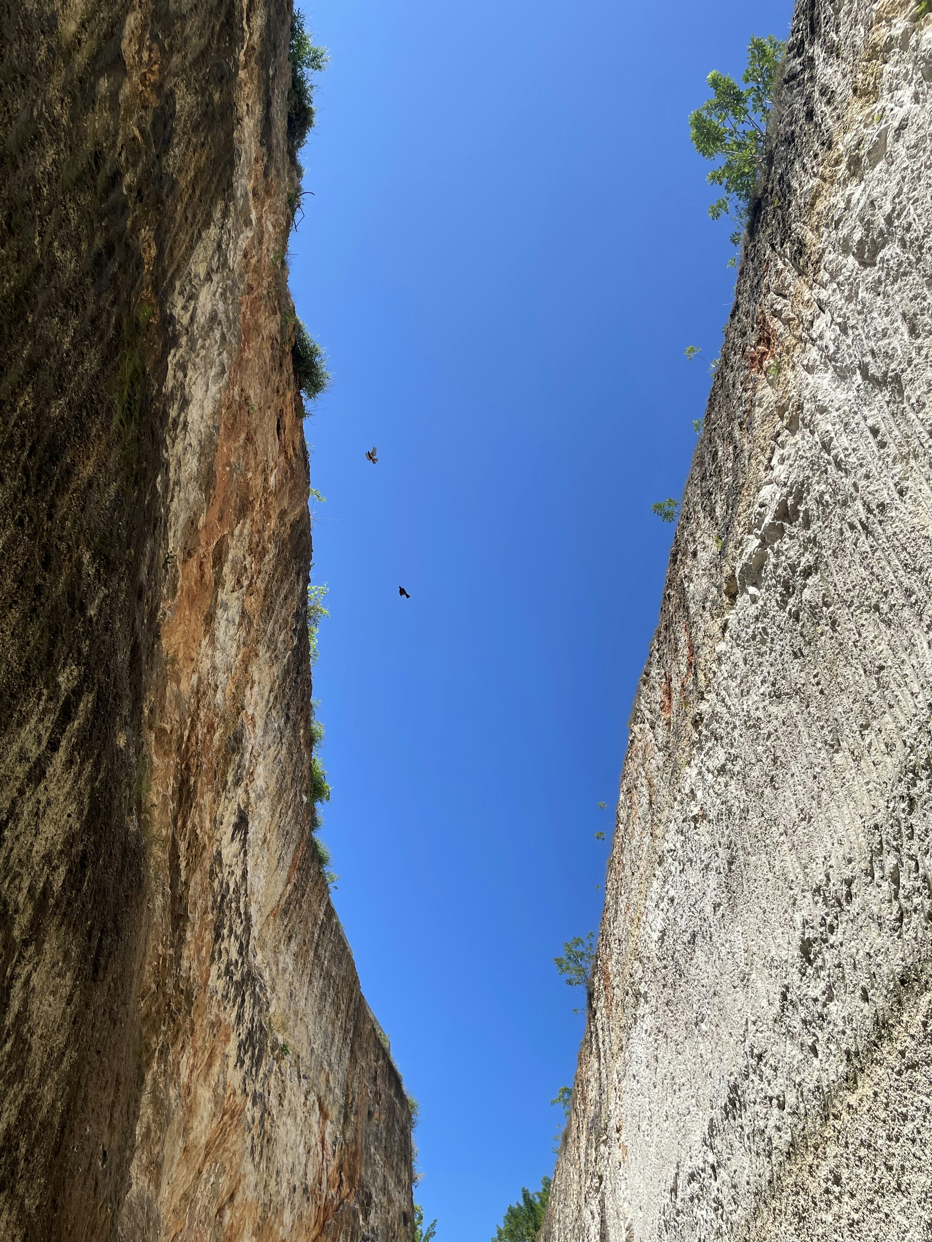a bird flying in the sky over a canyon