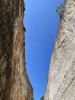 a bird flying in the sky over a canyon