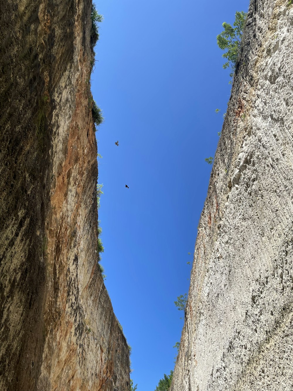 a bird flying in the sky over a canyon