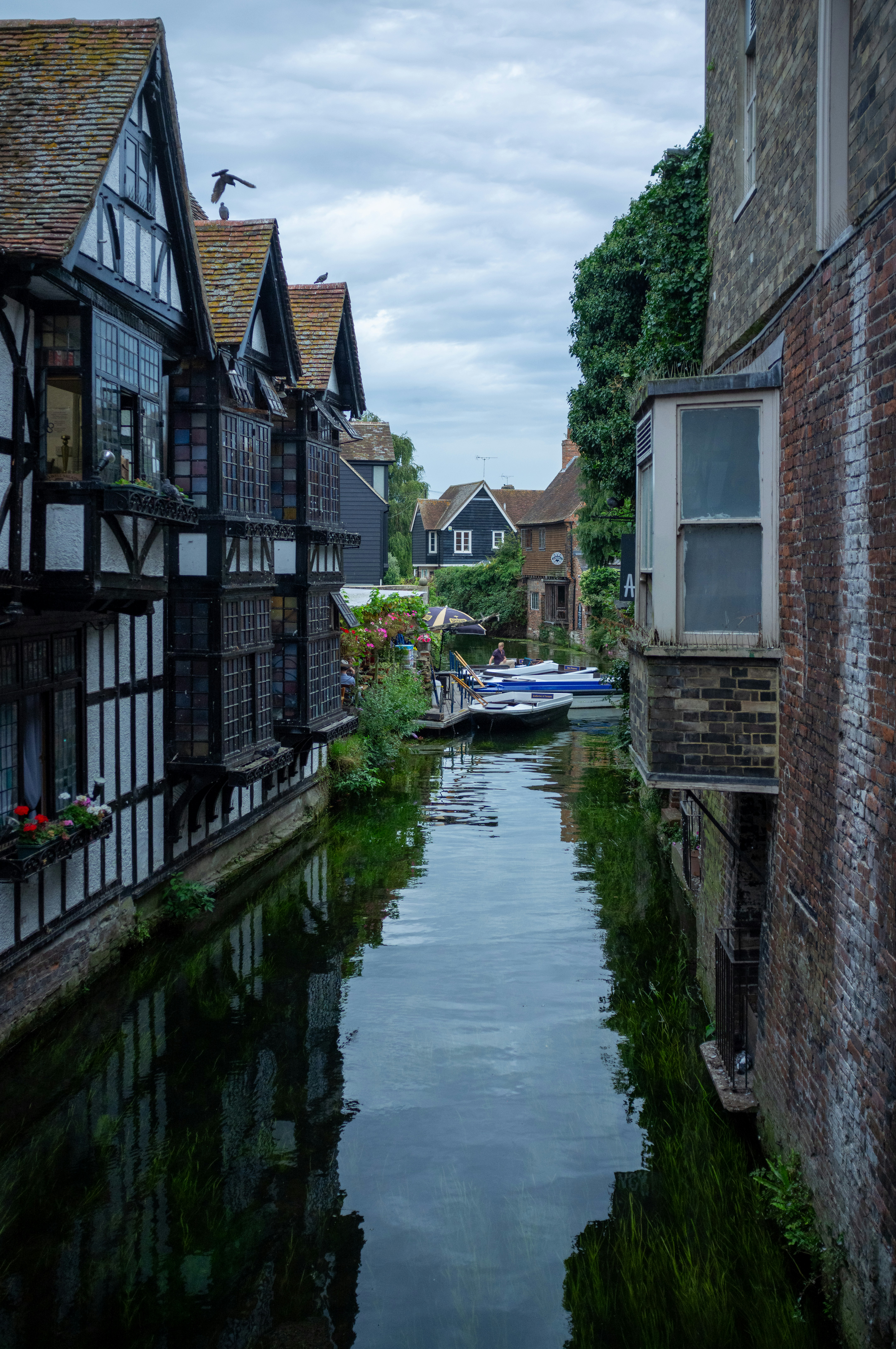 Photo by jonathankslim