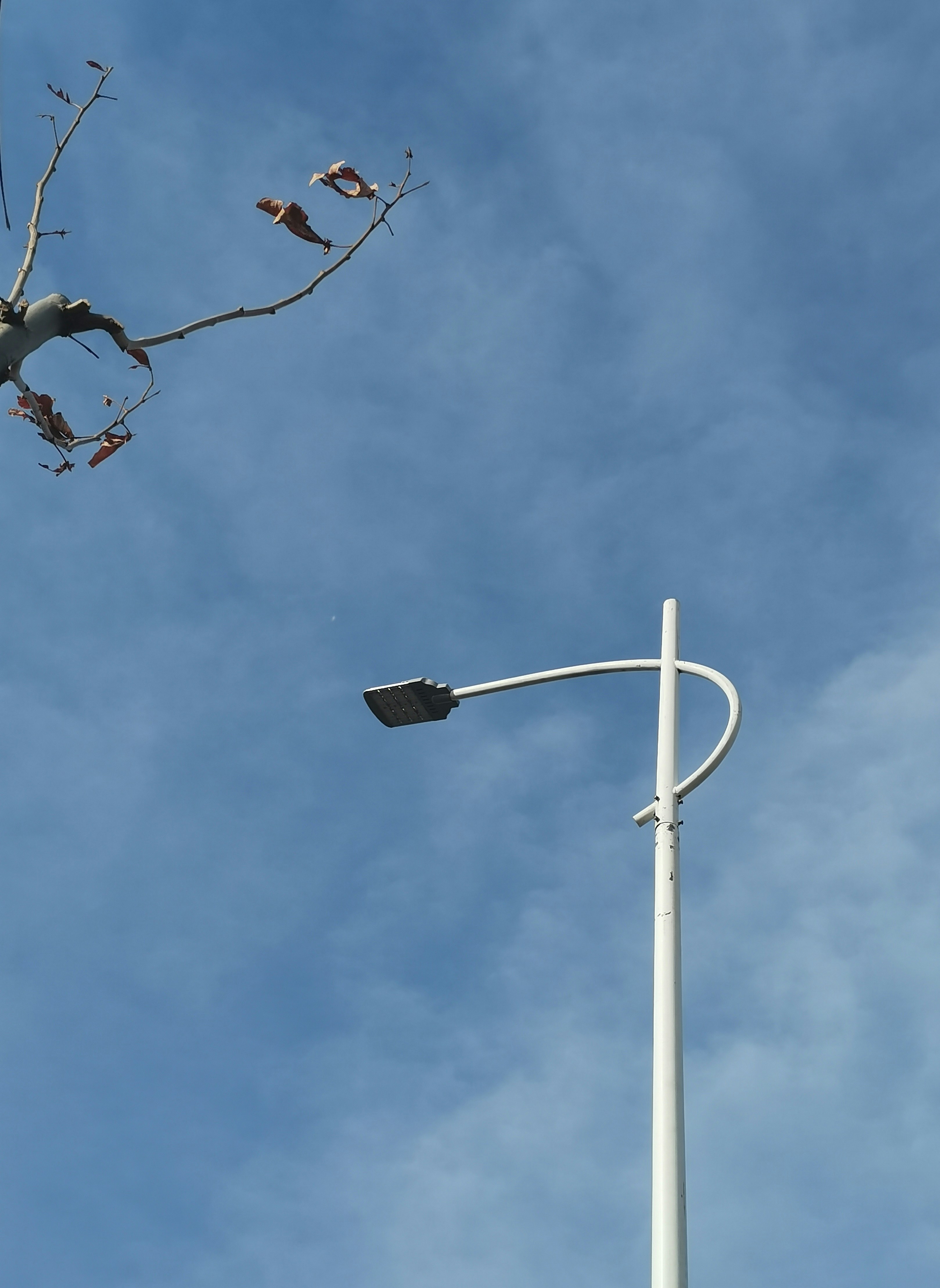 Photo by xiaoxiaowei