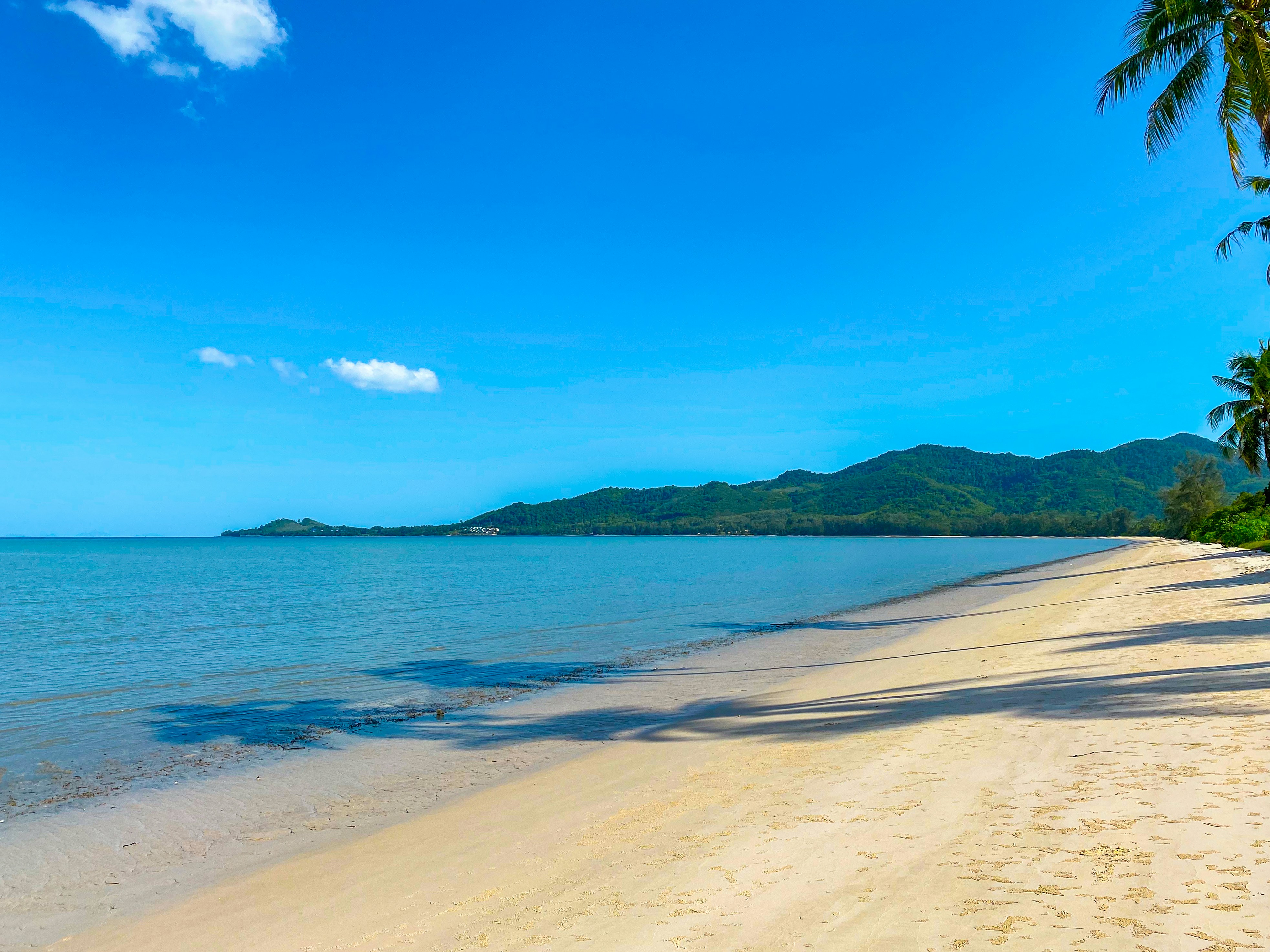 Photo by your_scorpion