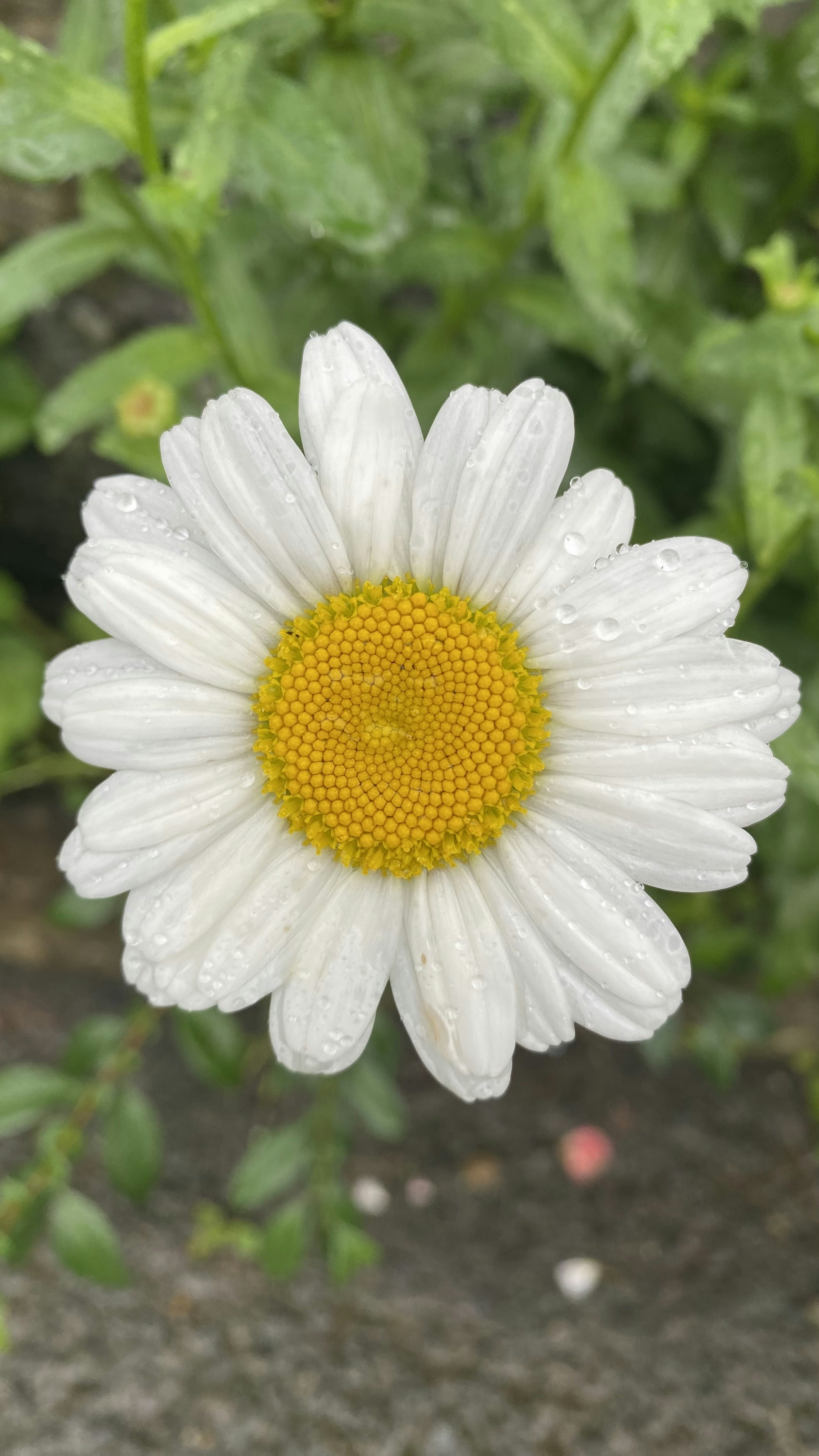 Photo by thallasophile