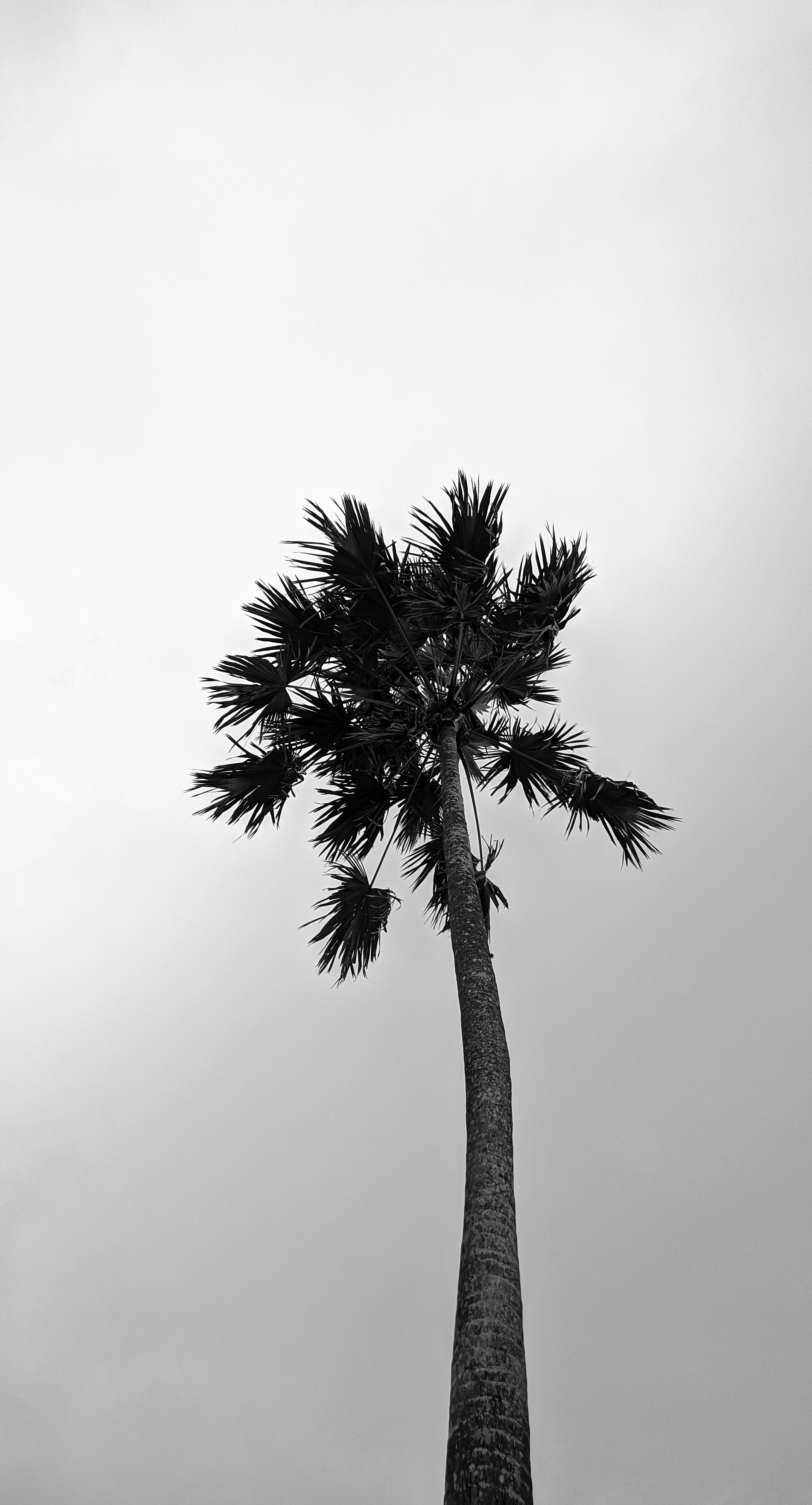 Photo by reniagustin