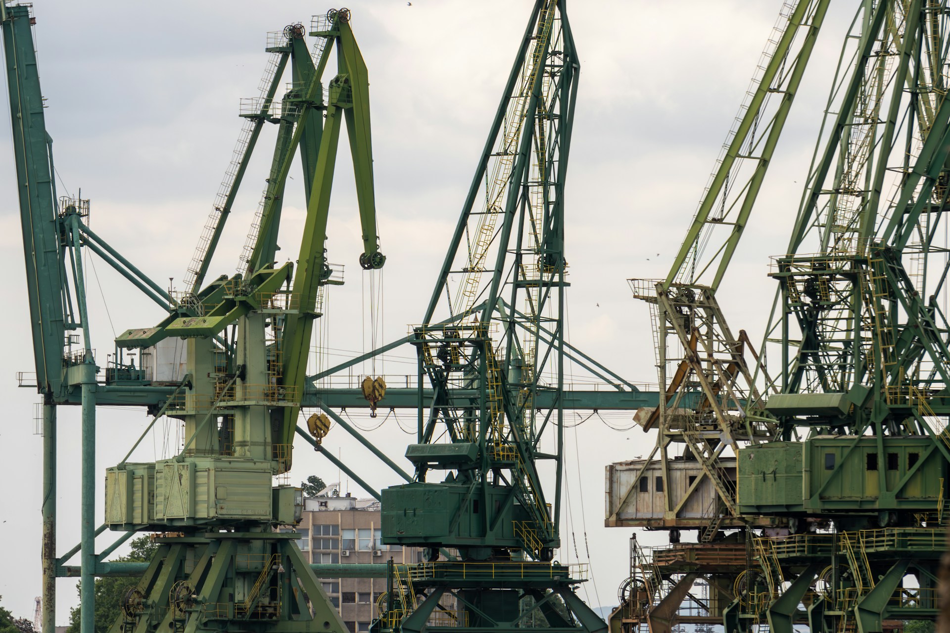 a group of green cranes sitting next to each other