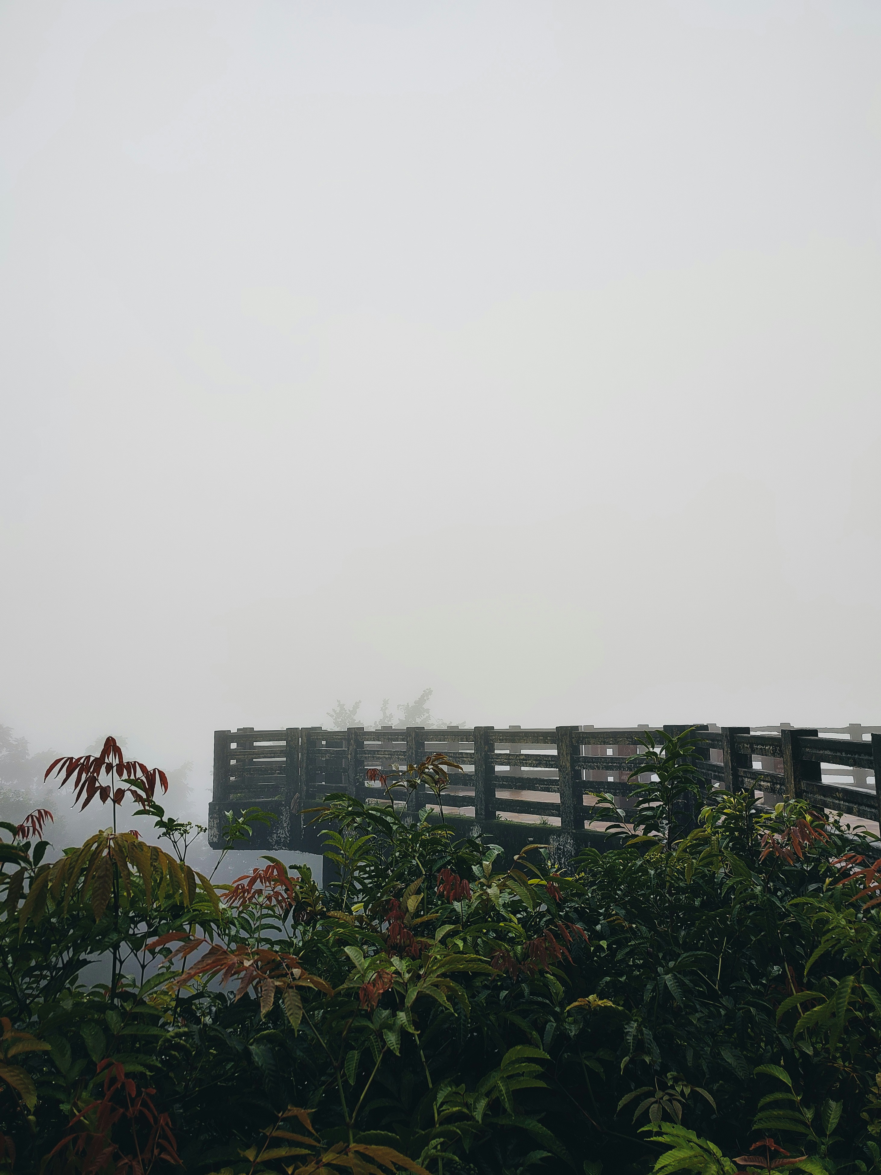 Best Time to Visit Chikmagalur