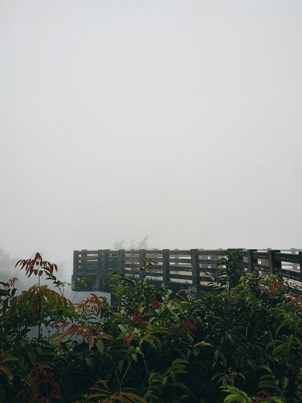 a foggy day with a wooden fence in the foreground