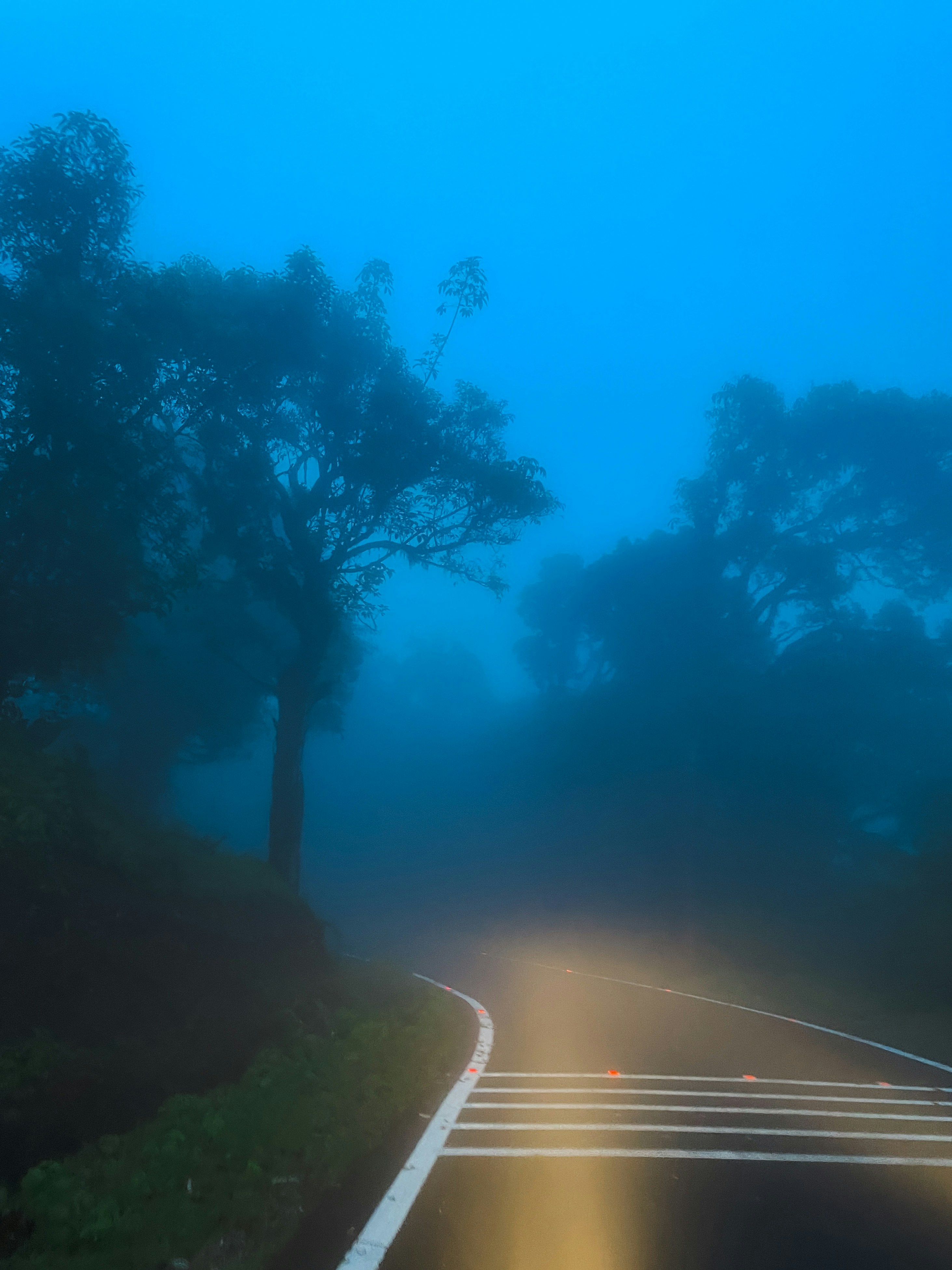 Photo by abhijnagrao