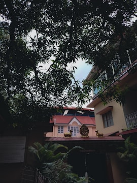 A residential building with a red-tiled roof is partially obscured by lush green trees and foliage. The architecture features decorative elements, including sculptures resembling animals on the roof. The trees create a natural canopy, adding depth and contrast to the scene.