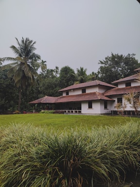 An inviting image of a traditional village house surrounded by greenery and palm trees.