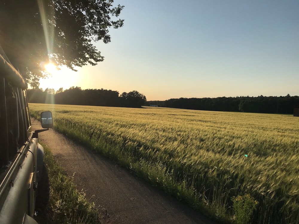 a truck driving down a road next to a lush green field