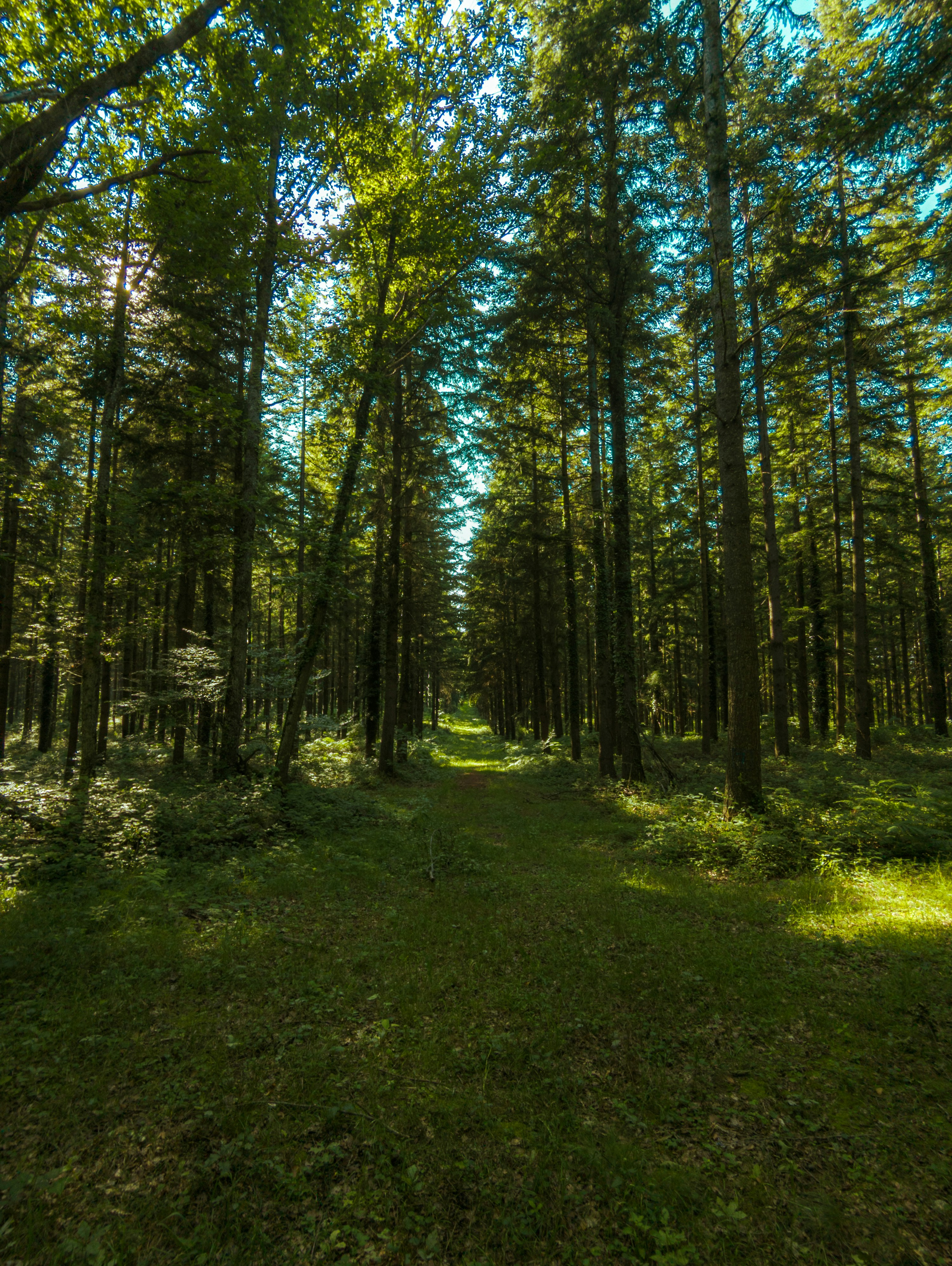 Photo by valentinlacoste