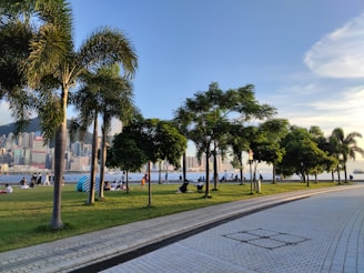 A scenic waterfront park featuring lush green palm trees and other trees lining a walkway, with people relaxing on the grass and benches. The backdrop includes a city skyline across the water and a clear blue sky with some clouds.