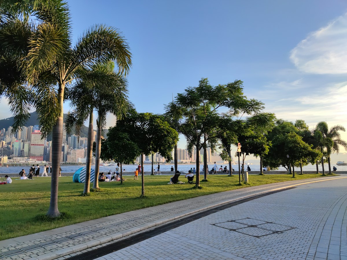 Palm Trees Along The Waterfront Promenade In Split, Croatia
