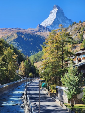 A scenic mountain landscape features a prominent, snow-capped peak in the background beneath a clear, blue sky. In the foreground, a road runs alongside a flowing river, lined with trees bearing green and autumnal yellow foliage. Residential buildings are visible on the right side of the image, partially obscured by the tall trees.