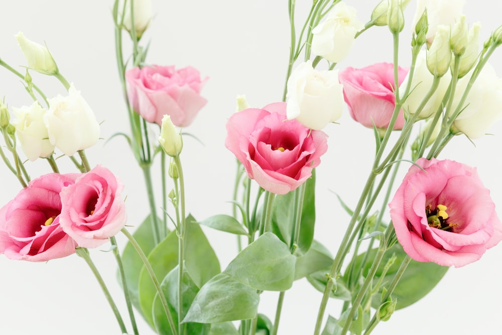 a vase filled with pink and white flowers