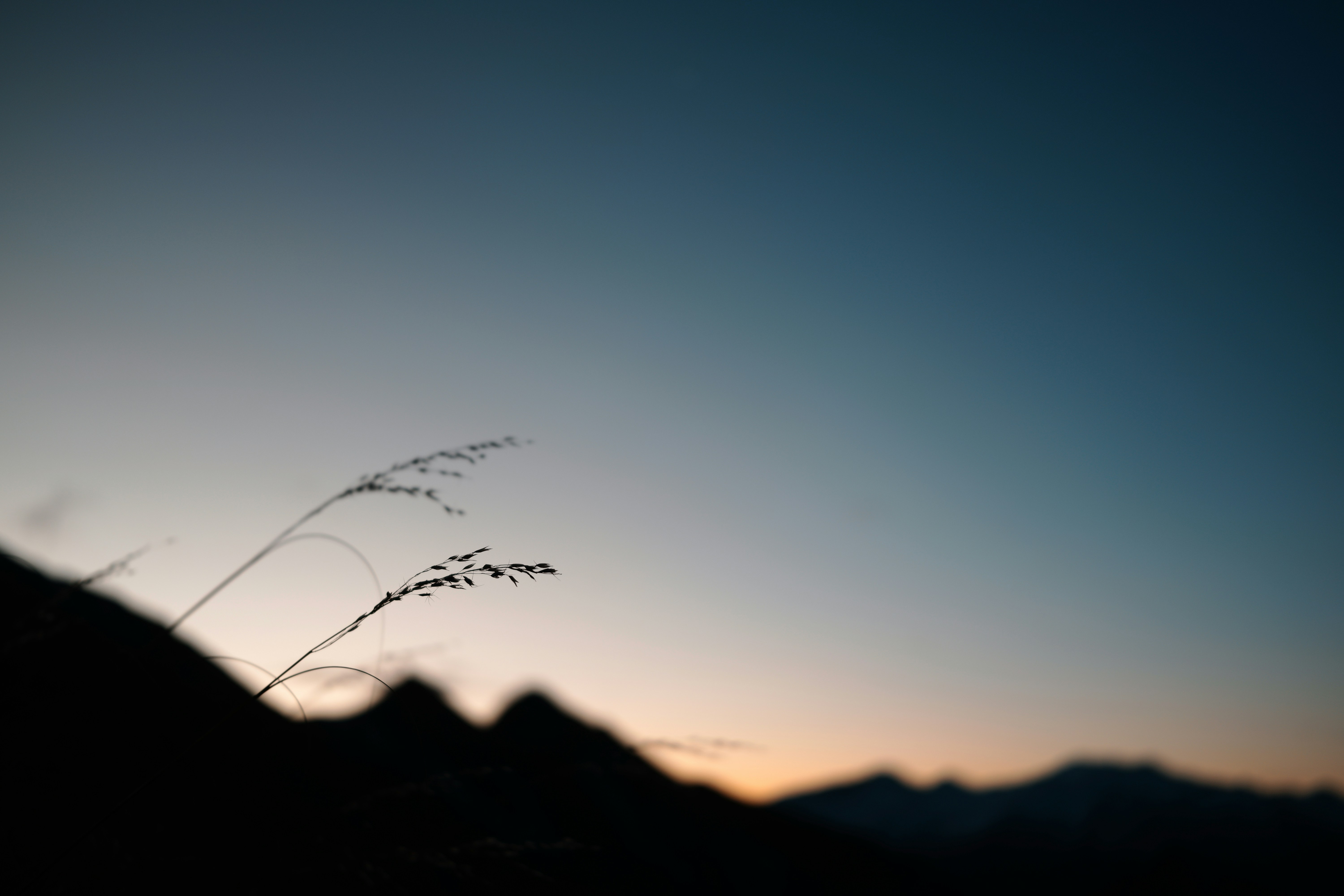 Photo by ksoma