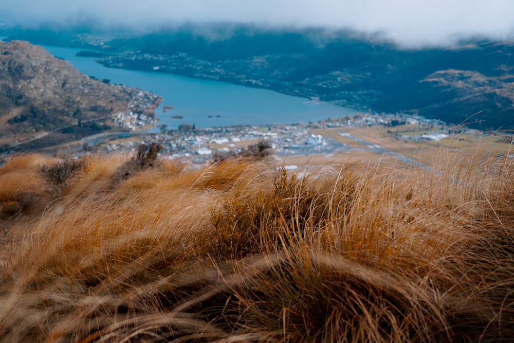 a view of a city and a body of water from a hill